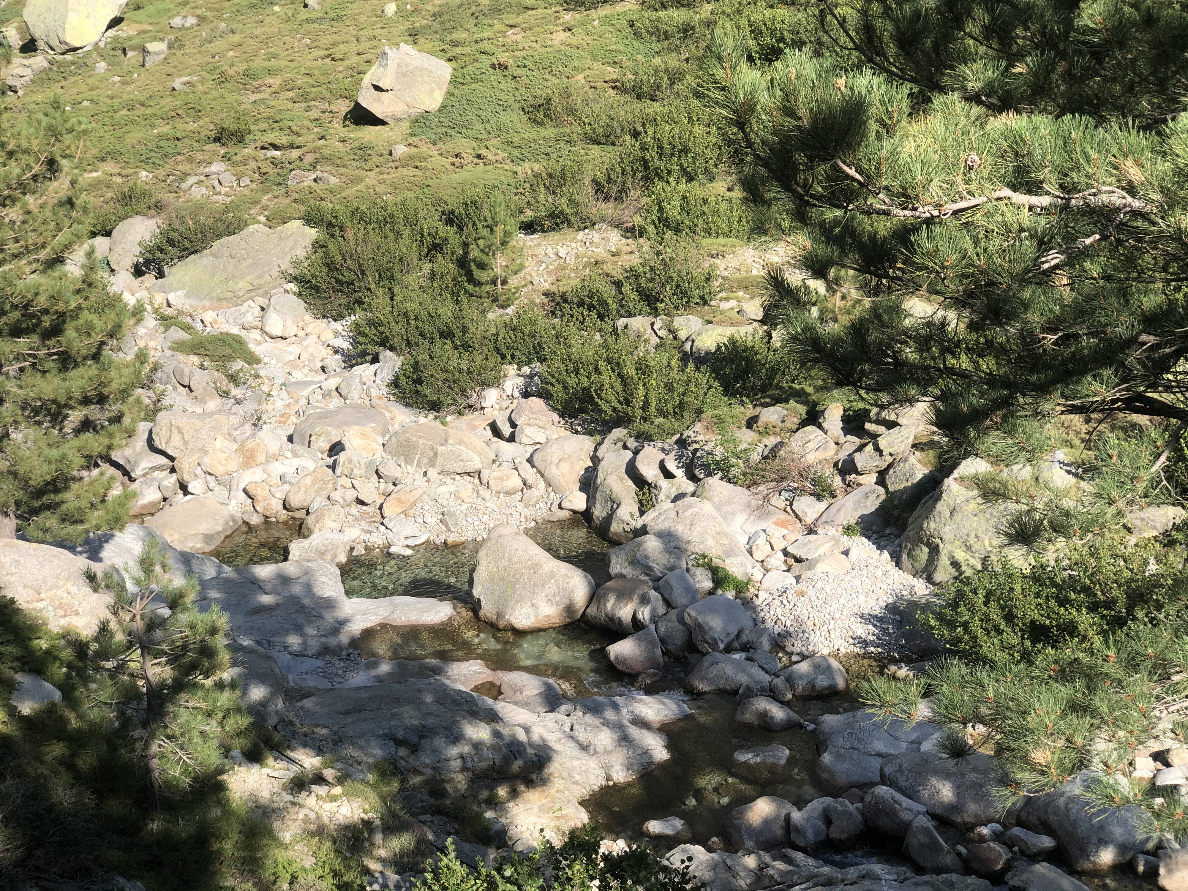 รูปถ่าย ฝรั่งเศส(France) คอร์สิคา(Corsica) หุบเขาลาเรสโตนีกา(La Restonica) 2020-07 70