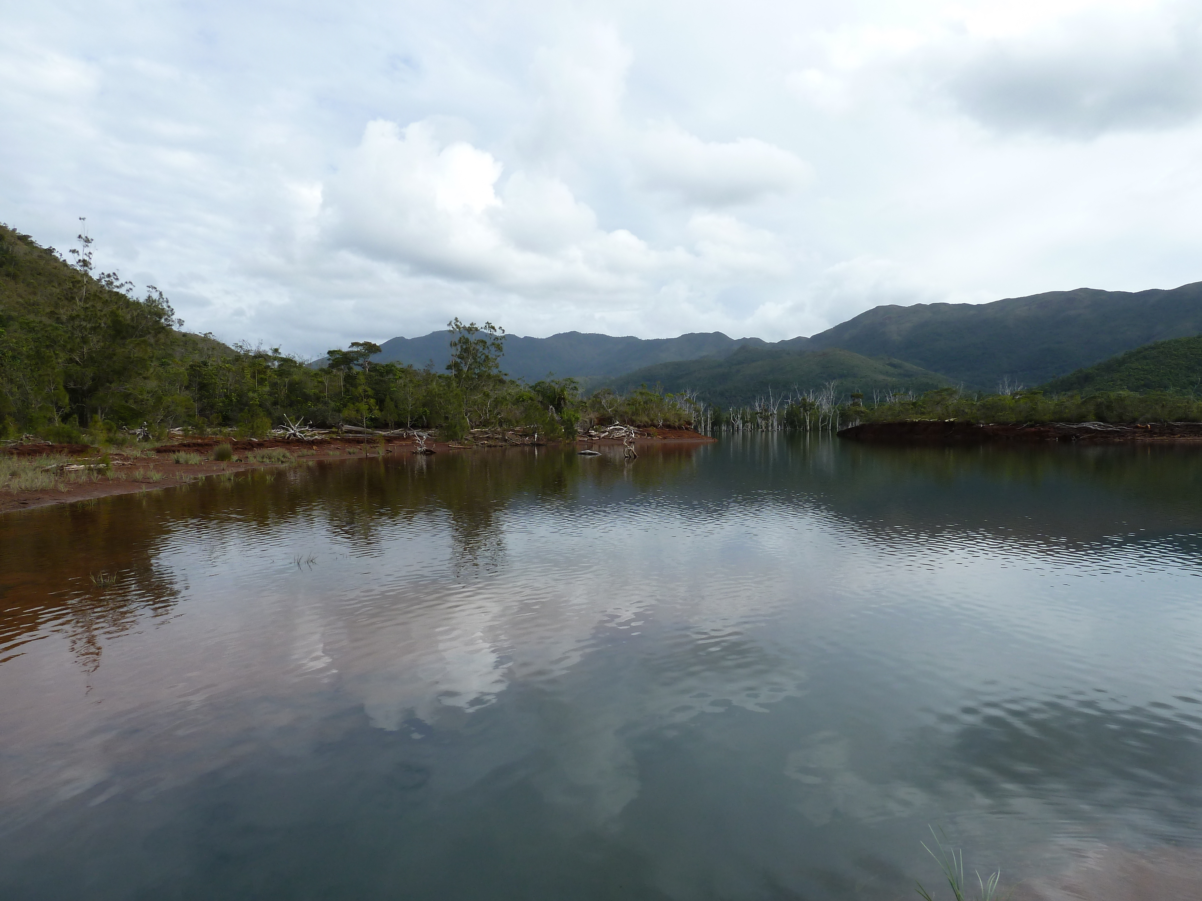 รูปถ่าย นิวแคลิโดเนีย(New Caledonia) อุทยานริเวียร์เบลอ(Parc de la Riviere Bleue) 2010-05 6