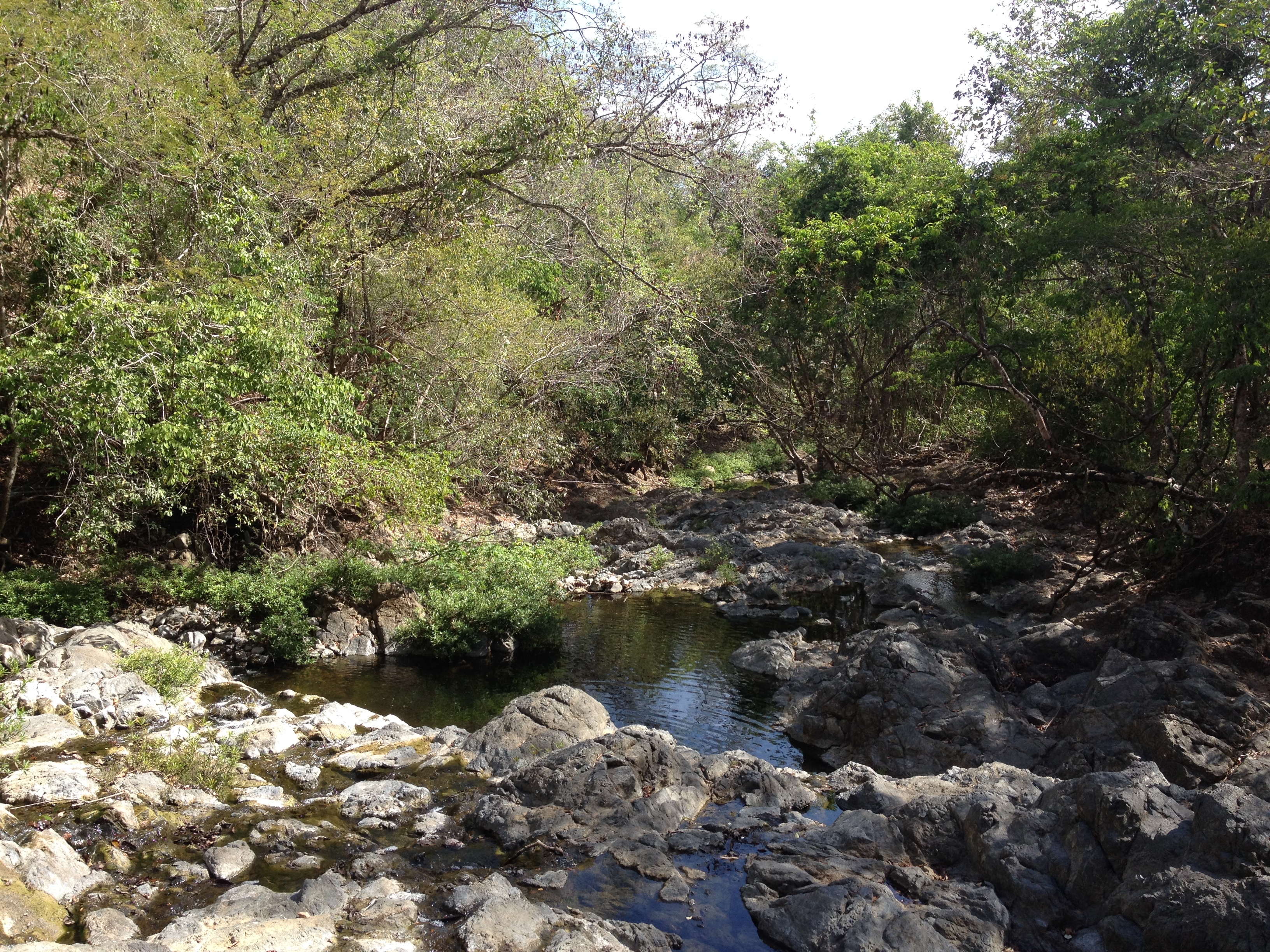 รูปถ่าย คอสตาริกา(Costa Rica) มอนเตซูมา(Montezuma) 2015-03 450