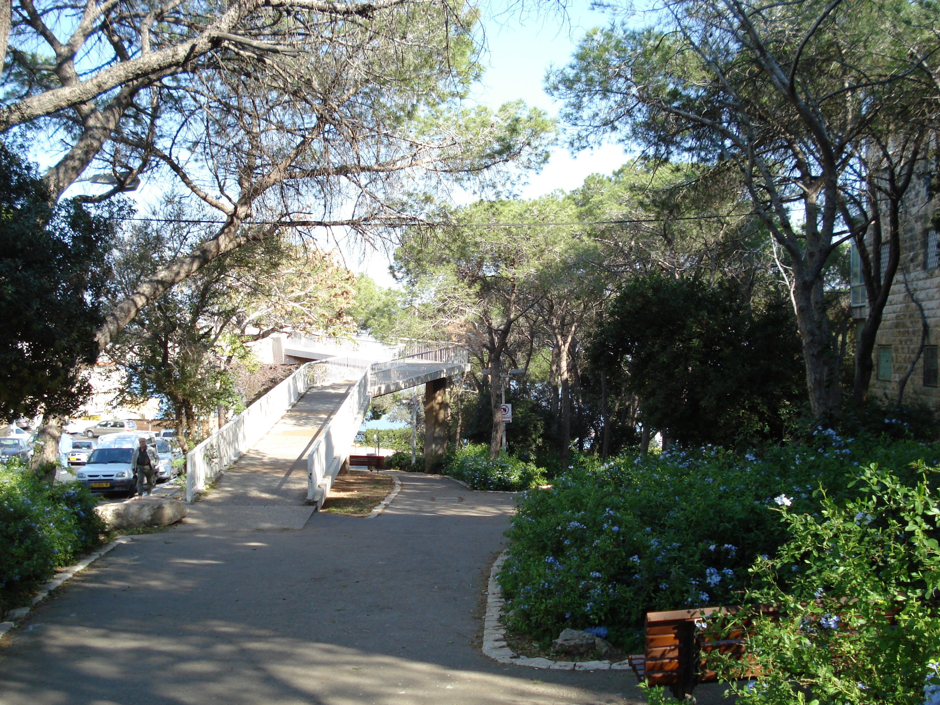 รูปถ่าย อิสราเอล(Israel) ไฮฟา(Haifa) คาร์เมล(Carmel) 2006-12 108