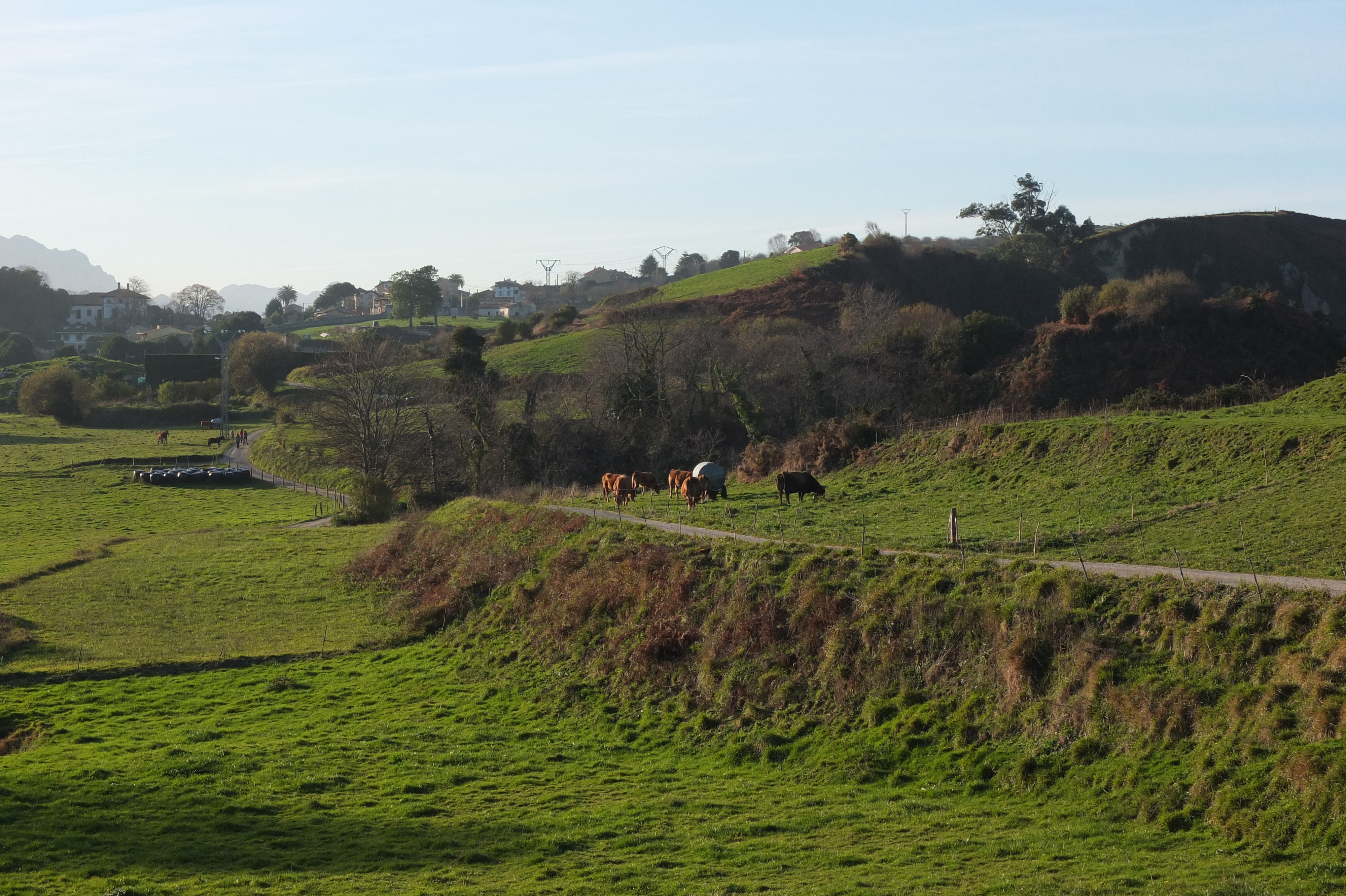 รูปถ่าย สเปน(Spain) กันตาเบรีย(Cantabria) 2013-01 8