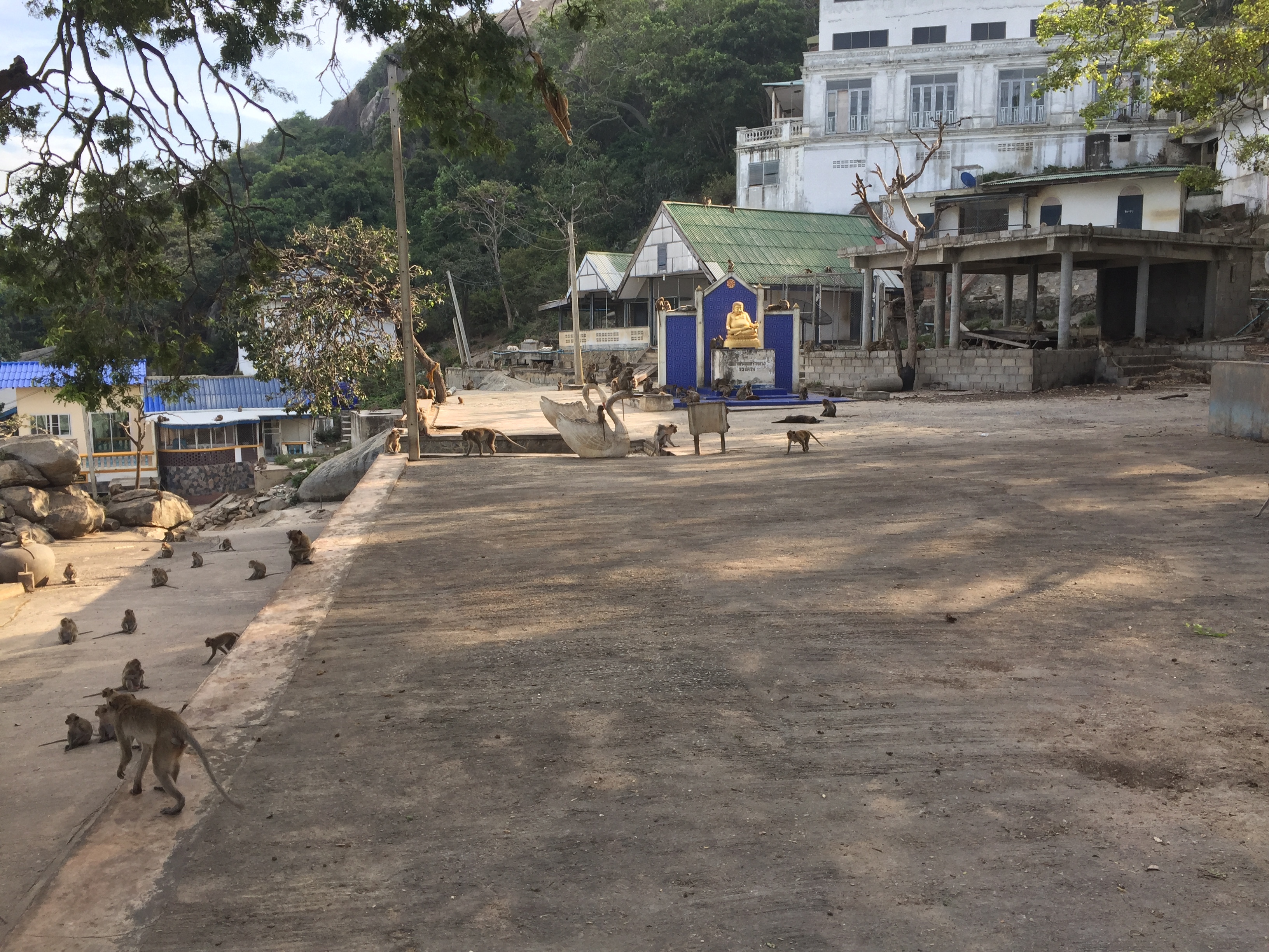 รูปถ่าย ไทย(Thailand) หัวหิน(Hua hin) 2016-01 1