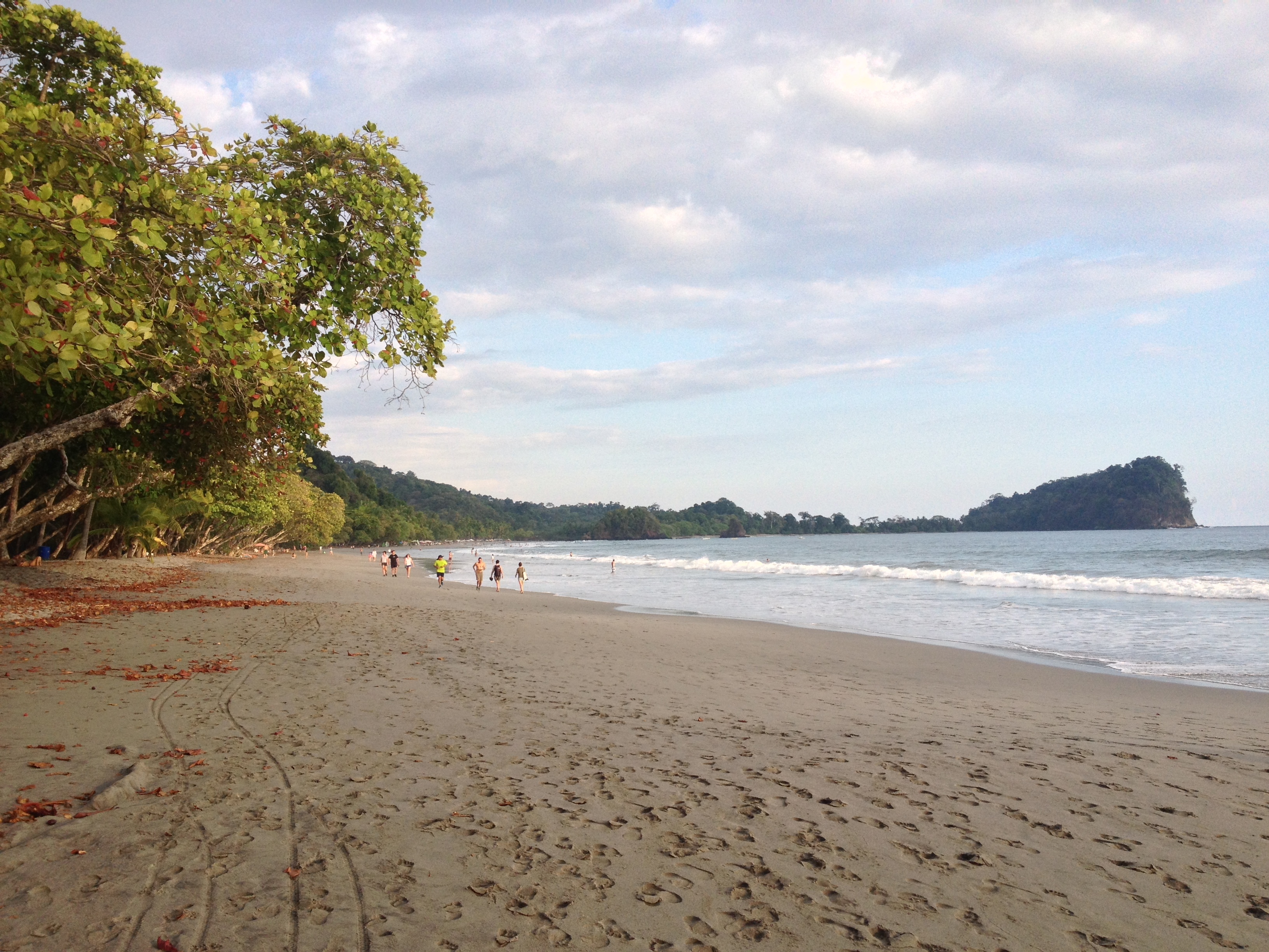 รูปถ่าย คอสตาริกา(Costa Rica) มานวยล์อันโตนีโอ(Manuel Antonio) 2015-03 493