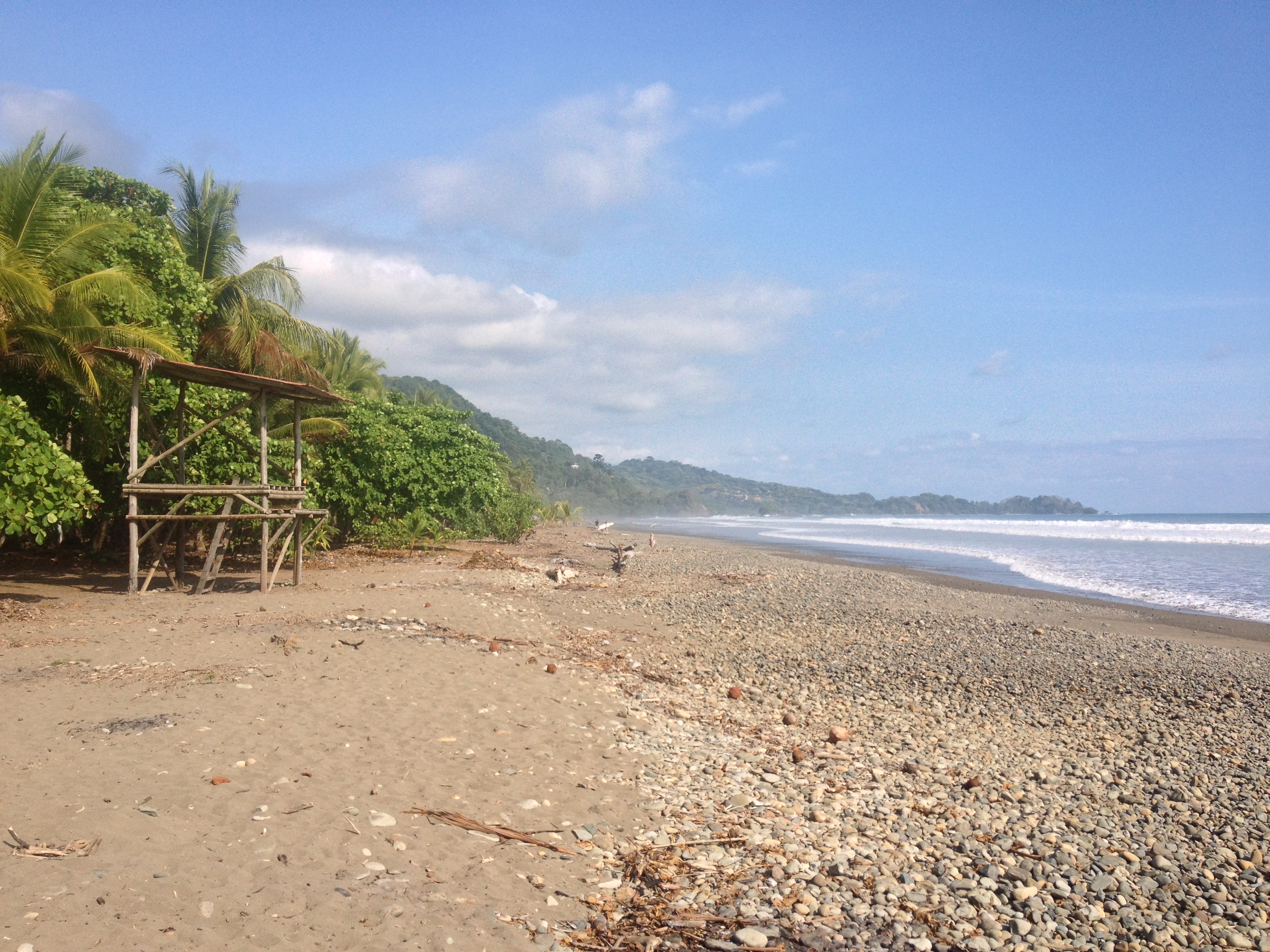 รูปถ่าย คอสตาริกา(Costa Rica) โดมินิกัล(Dominical) 2015-03 157