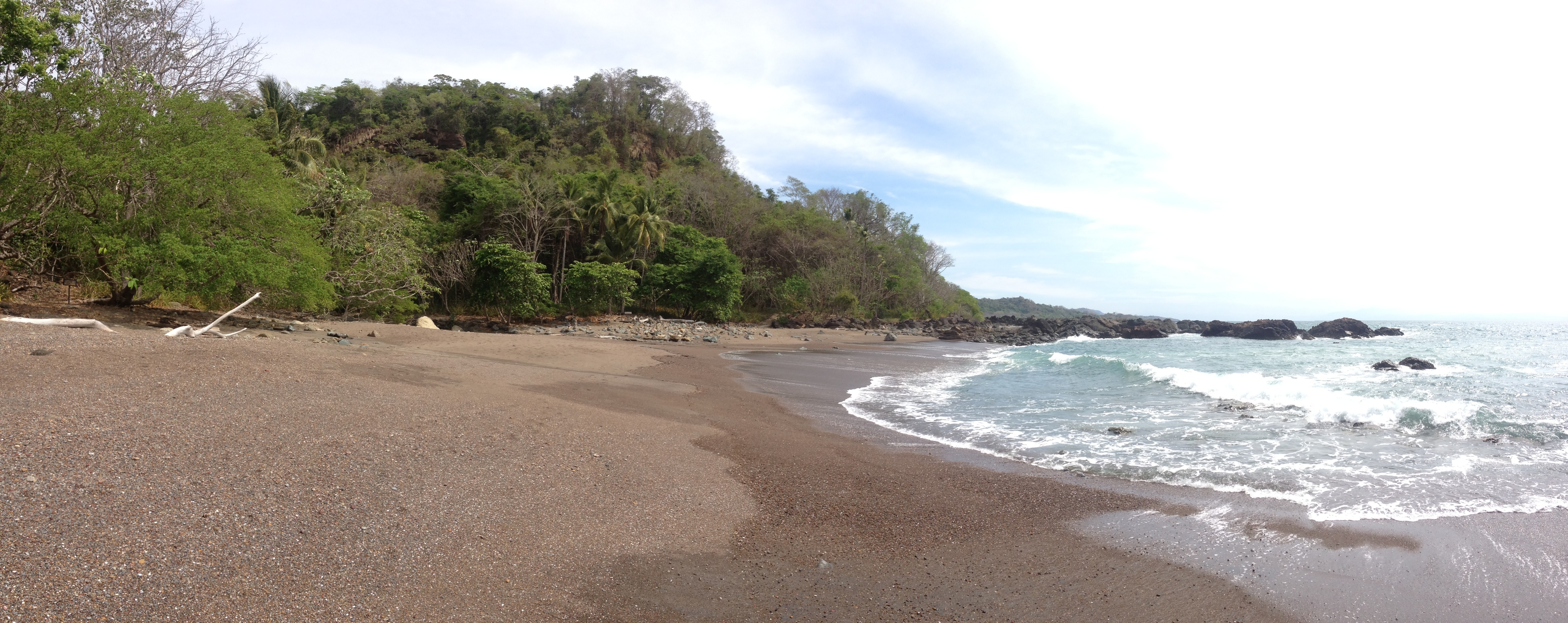 รูปถ่าย คอสตาริกา(Costa Rica) มอนเตซูมา(Montezuma) 2015-03 530