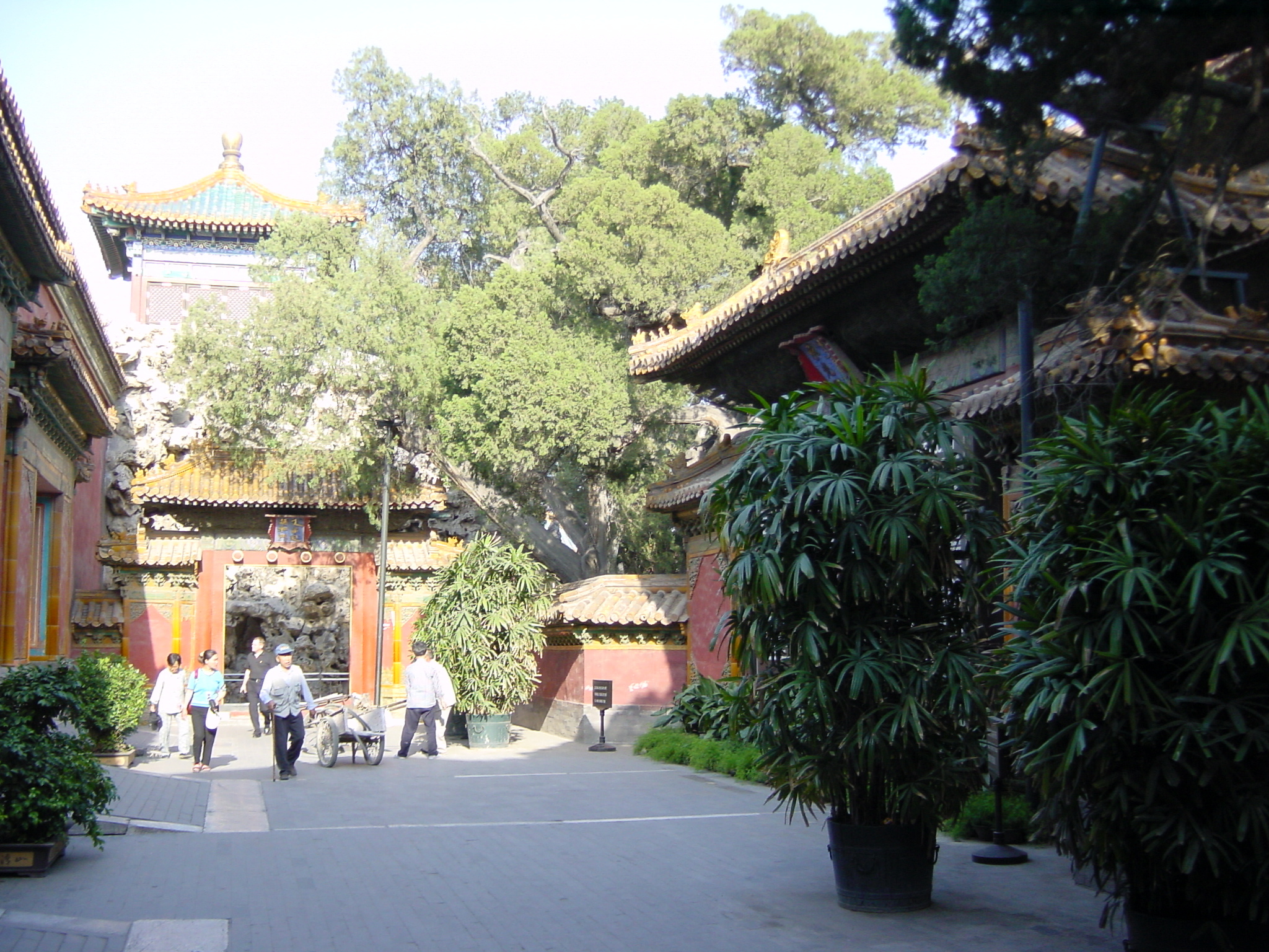 รูปถ่าย จีน(China) ปักกิ่ง(Beijing) พระราชวังต้องห้าม(Forbidden City) 2002-05 110