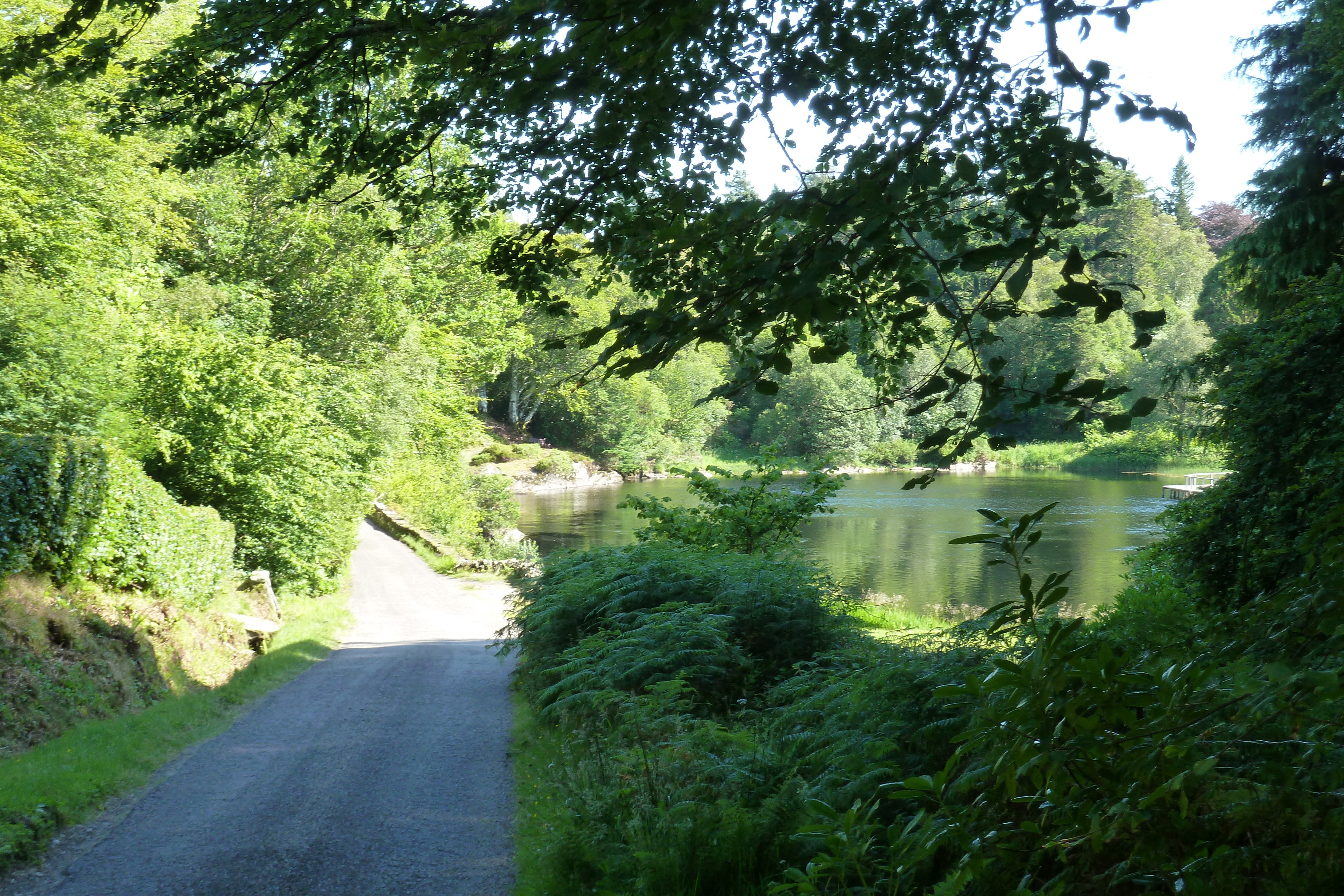 รูปถ่าย อังกฤษ(United Kingdom) สกอตแลนด์(Scotland) เซเลน(Salen) 2011-07 55