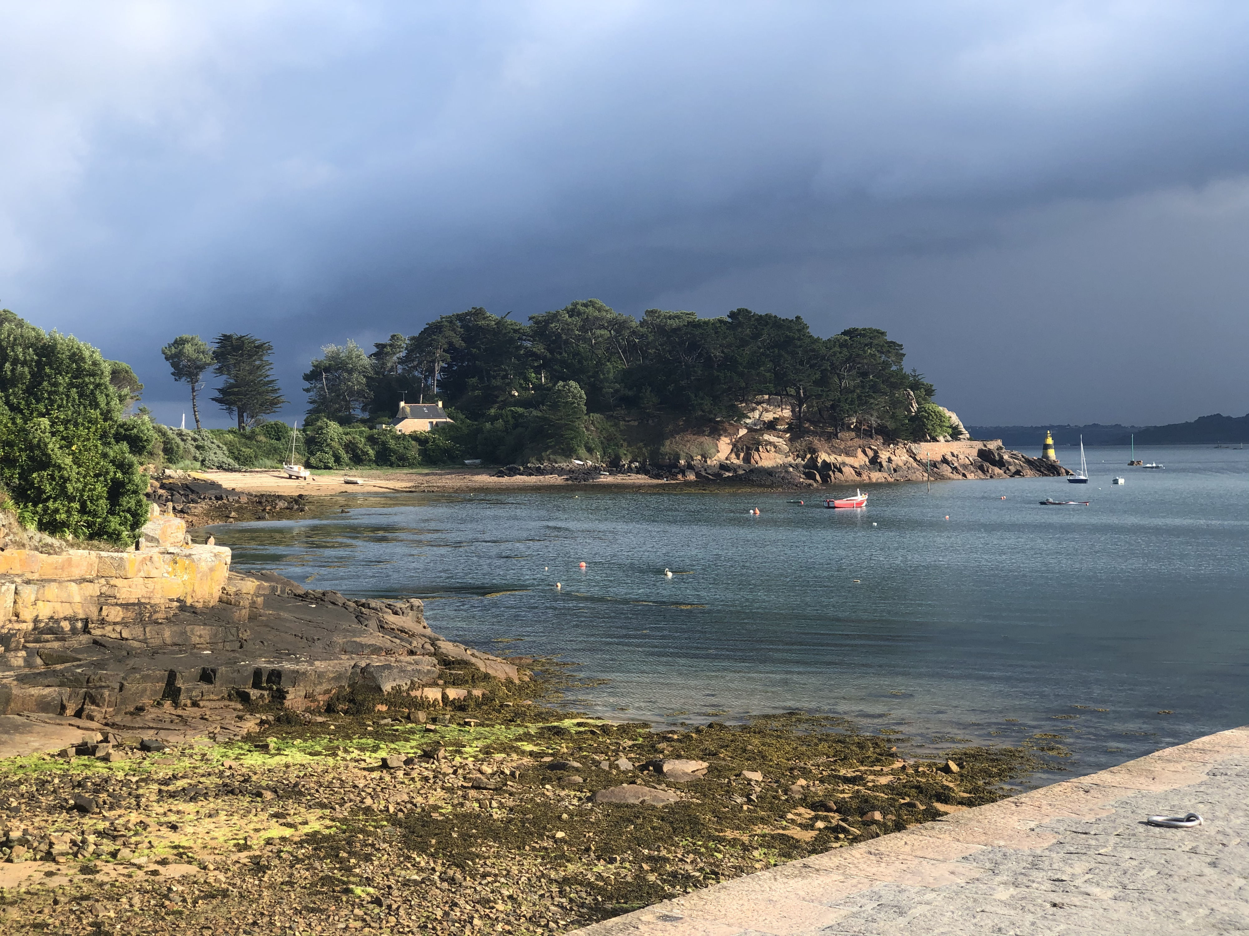 รูปถ่าย ฝรั่งเศส(France) เกาะเบรอา(Brehat Island) 2020-06 68