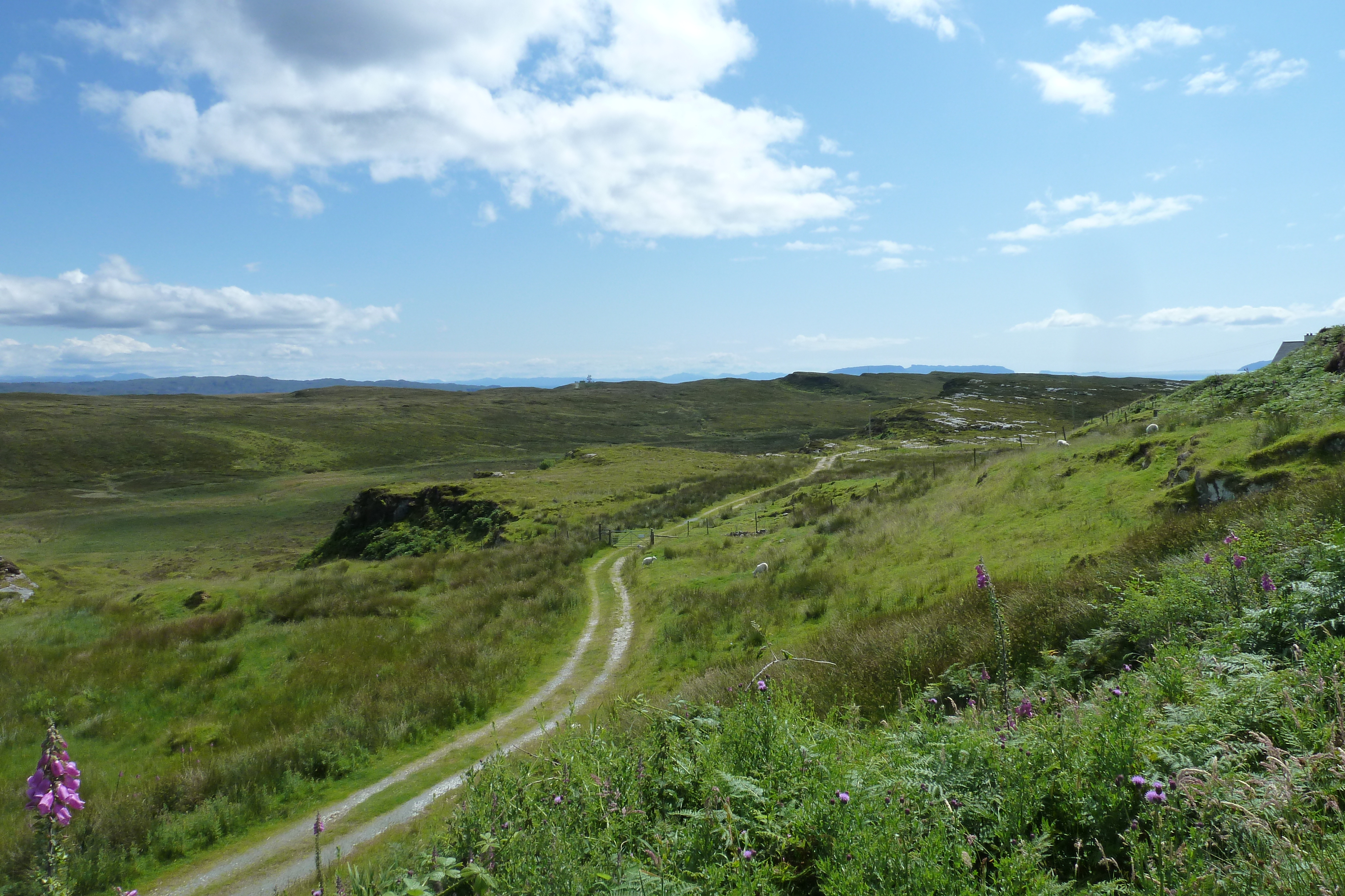 รูปถ่าย อังกฤษ(United Kingdom) เกาะสกาย(Skye) เทือกเขาคูลิน(The Cuillin) 2011-07 172