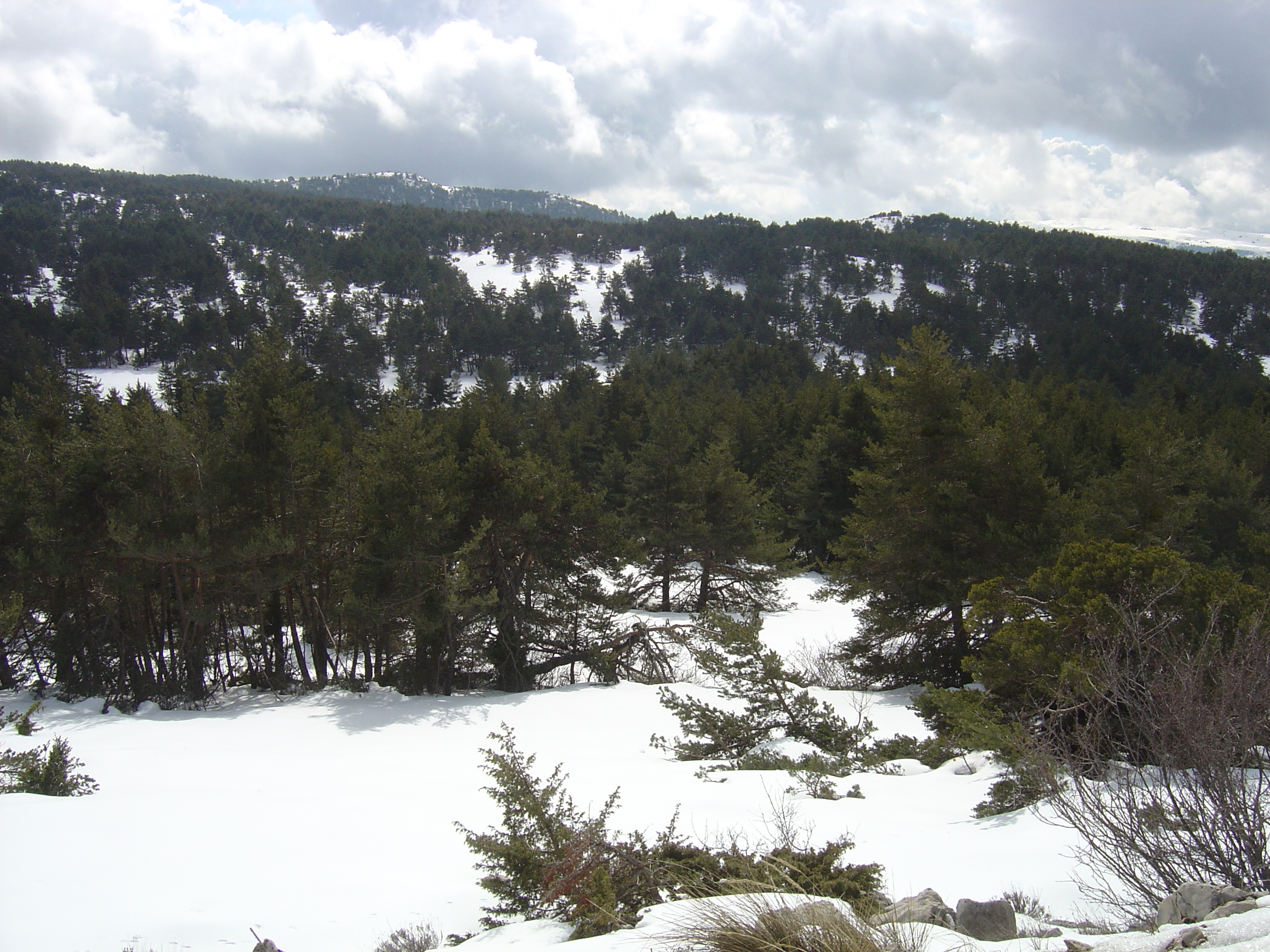 รูปถ่าย ฝรั่งเศส(France) เกรโอลีแยร์(Greolieres) 2006-02 46