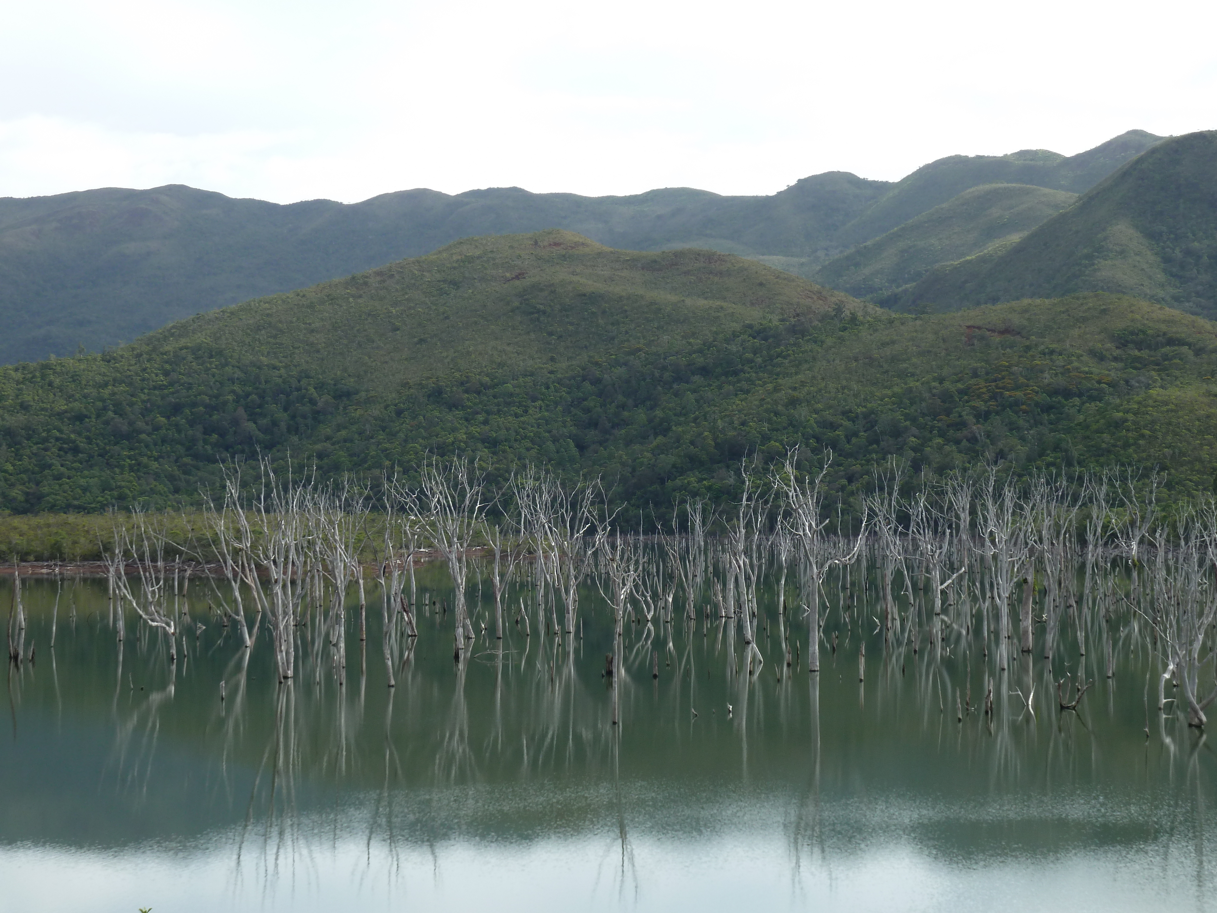 รูปถ่าย นิวแคลิโดเนีย(New Caledonia) 2010-05 42