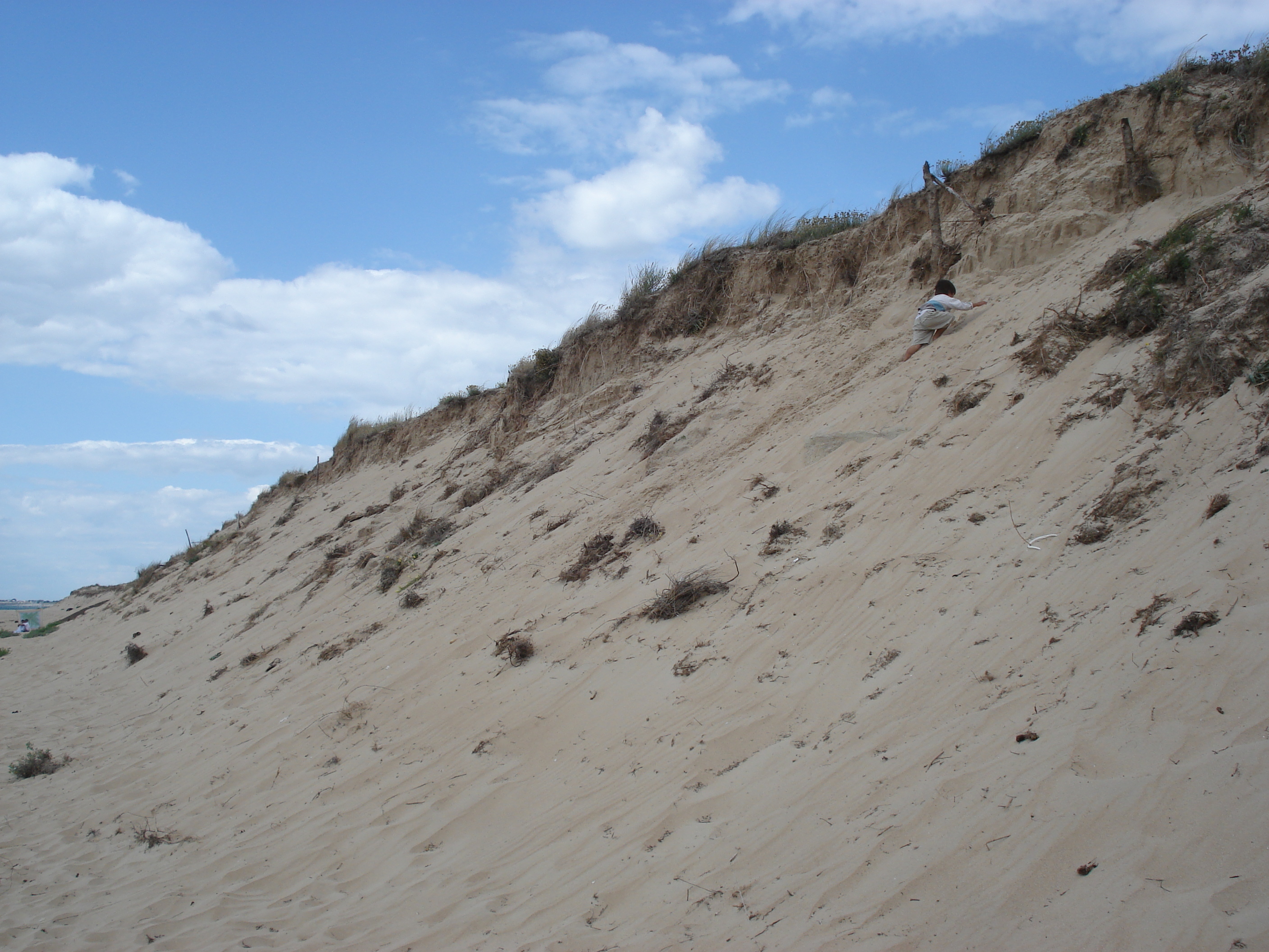 รูปถ่าย ฝรั่งเศส(France) นีวร์มูทีเย(Noirmoutier) 2006-08 35