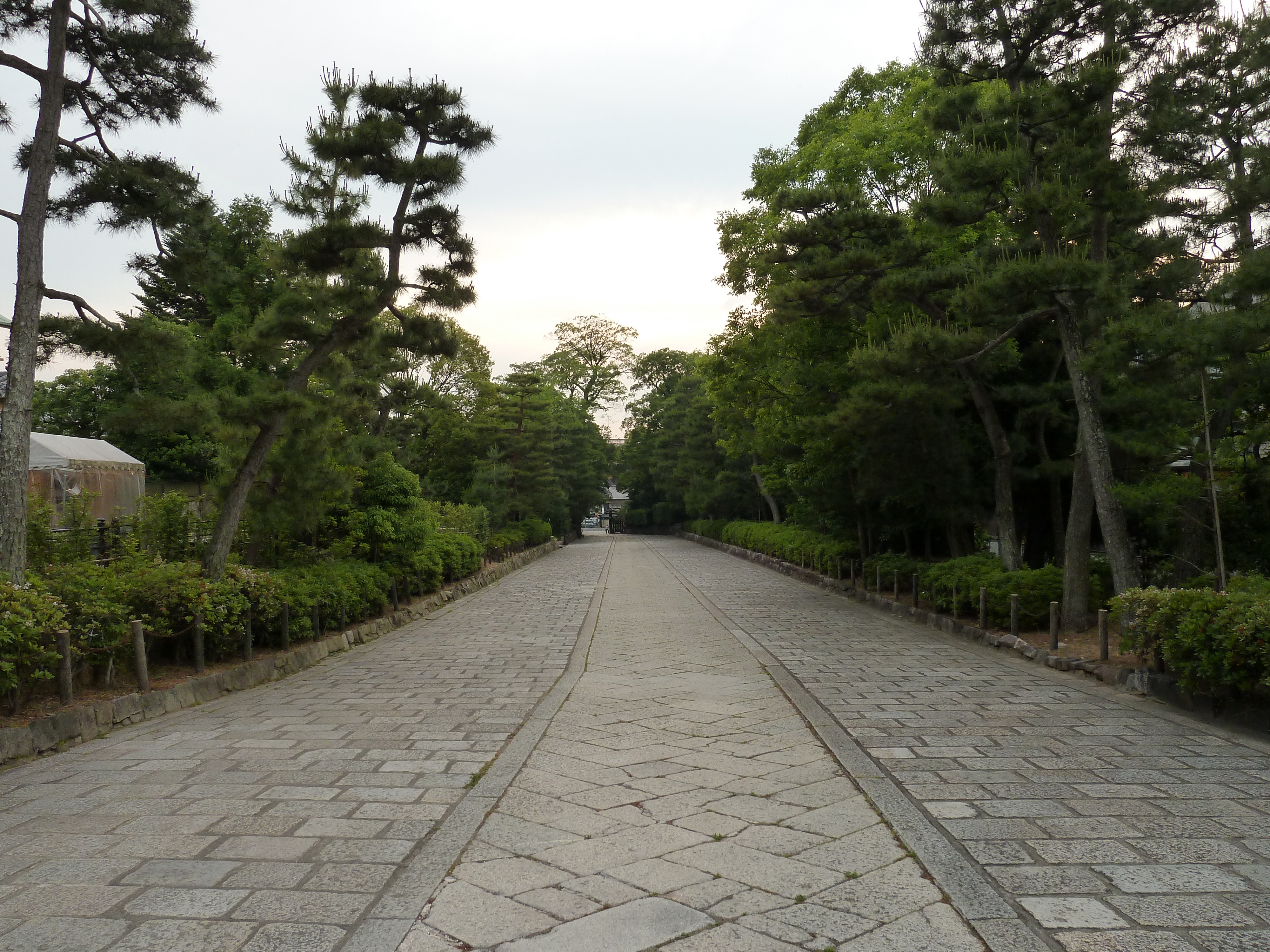รูปถ่าย ญี่ปุ่น(Japan) เกียวโต(Kyoto) ศาลเจ้ายาซากะ(Yasaka Shrine) 2010-06 12