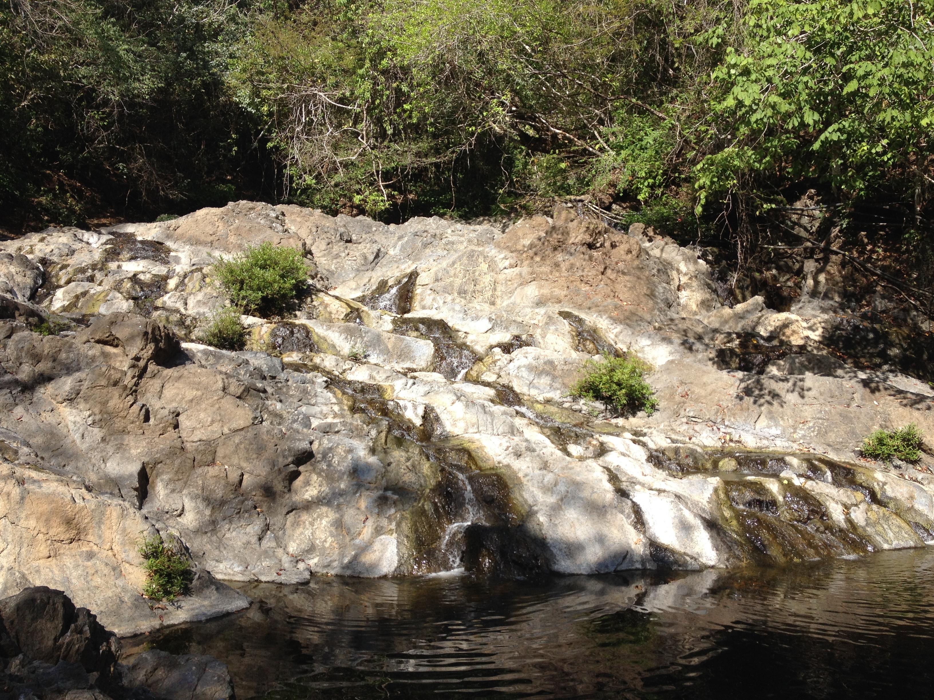 รูปถ่าย คอสตาริกา(Costa Rica) มอนเตซูมา(Montezuma) 2015-03 270