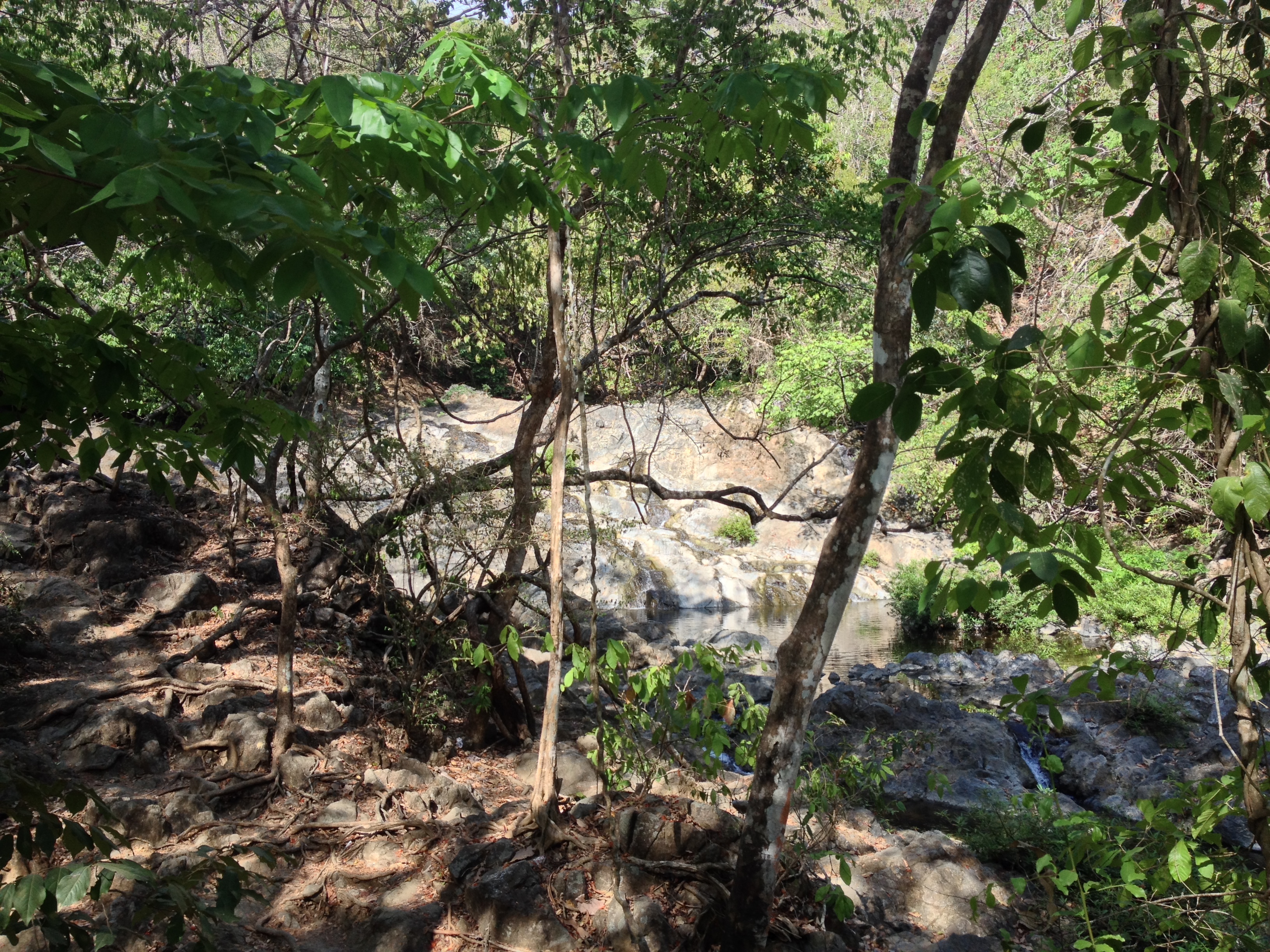 รูปถ่าย คอสตาริกา(Costa Rica) มอนเตซูมา(Montezuma) 2015-03 286
