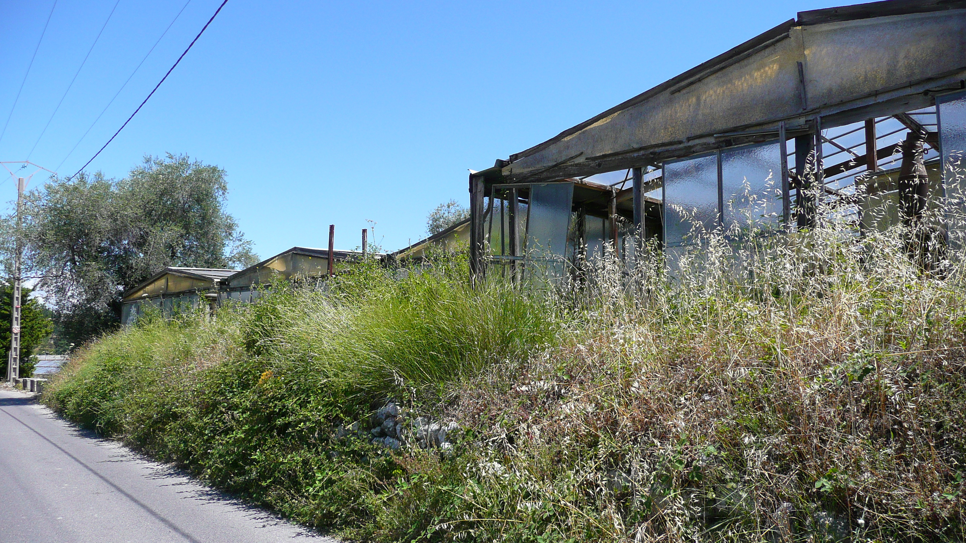 รูปถ่าย ฝรั่งเศส(France) ลาโกด(La Gaude) 2007-07 87