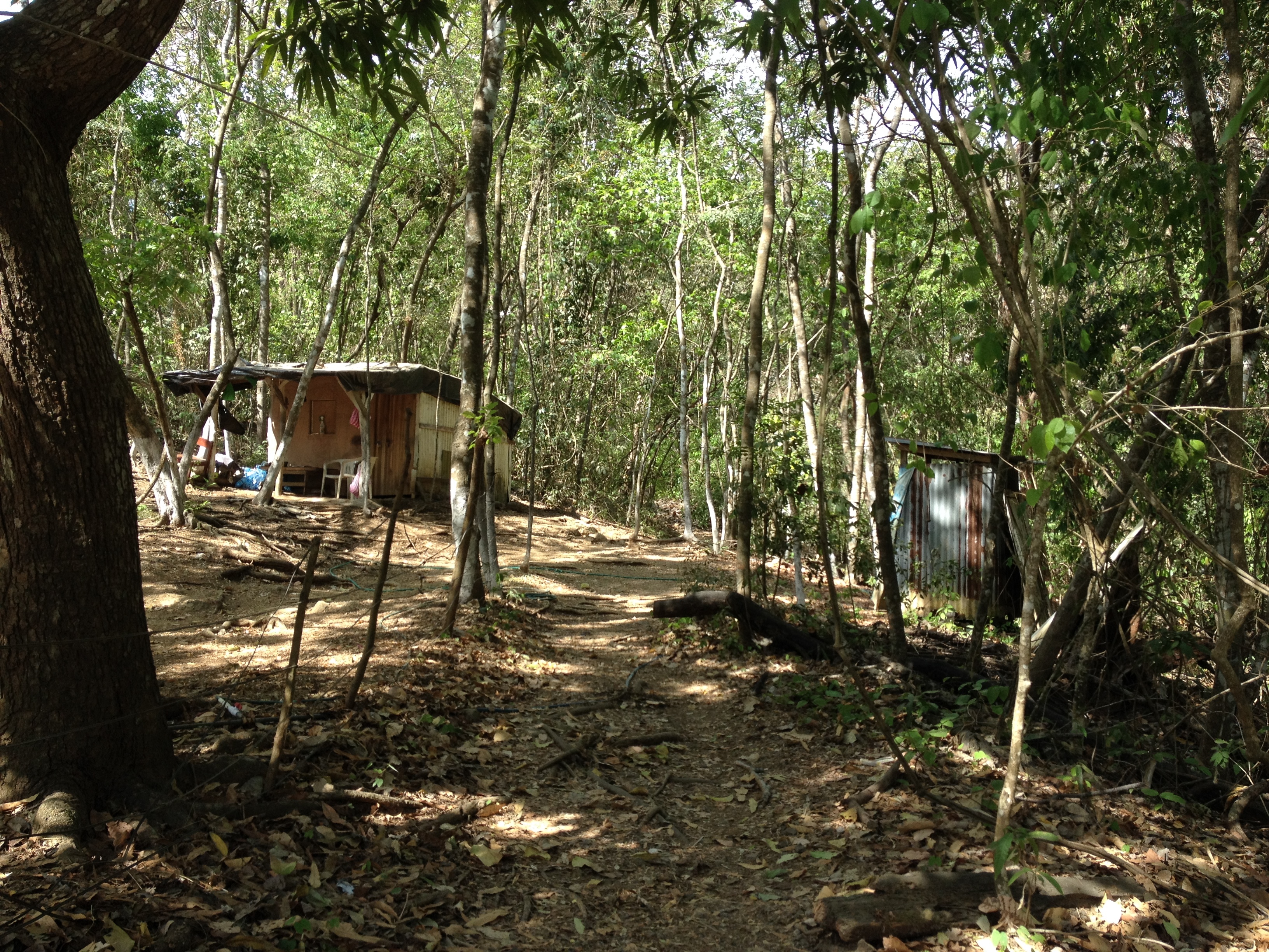 รูปถ่าย คอสตาริกา(Costa Rica) มอนเตซูมา(Montezuma) 2015-03 362