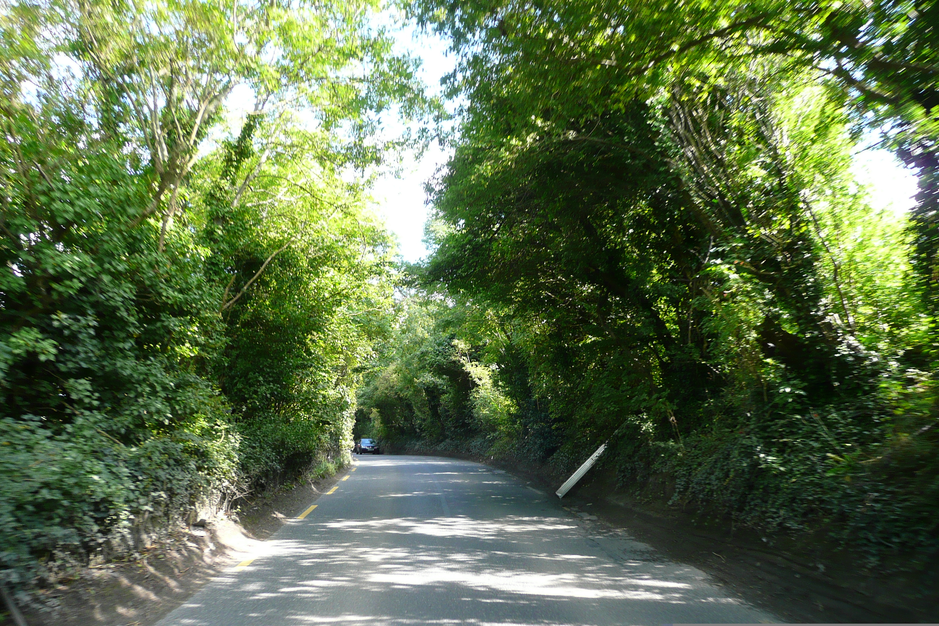 รูปถ่าย ไอร์แลนด์(Ireland) ดับลิน(Dublin) ถนนเลียบแม่น้ำ(River road) 2008-09 9