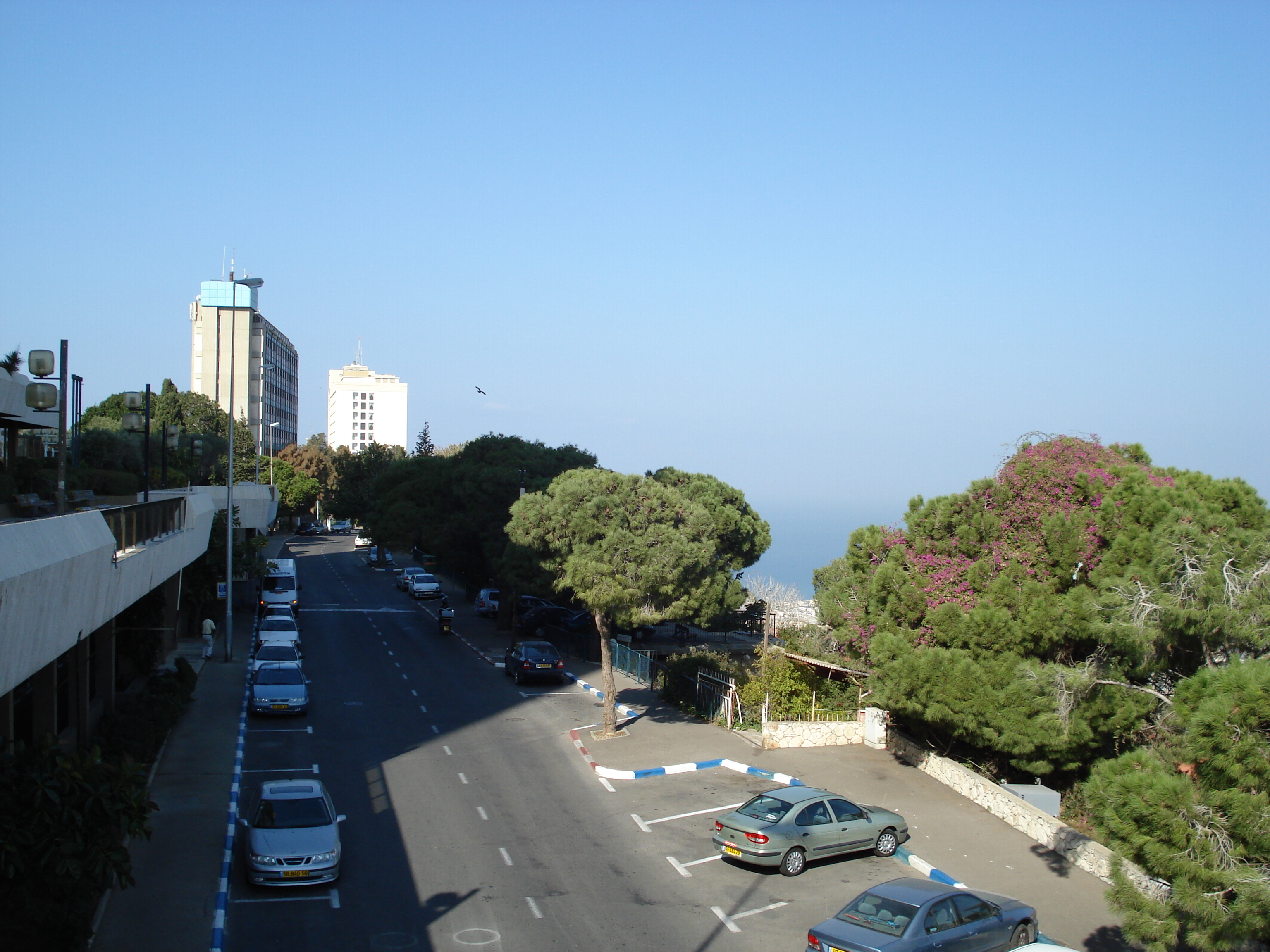 รูปถ่าย อิสราเอล(Israel) ไฮฟา(Haifa) คาร์เมล(Carmel) 2006-12 49
