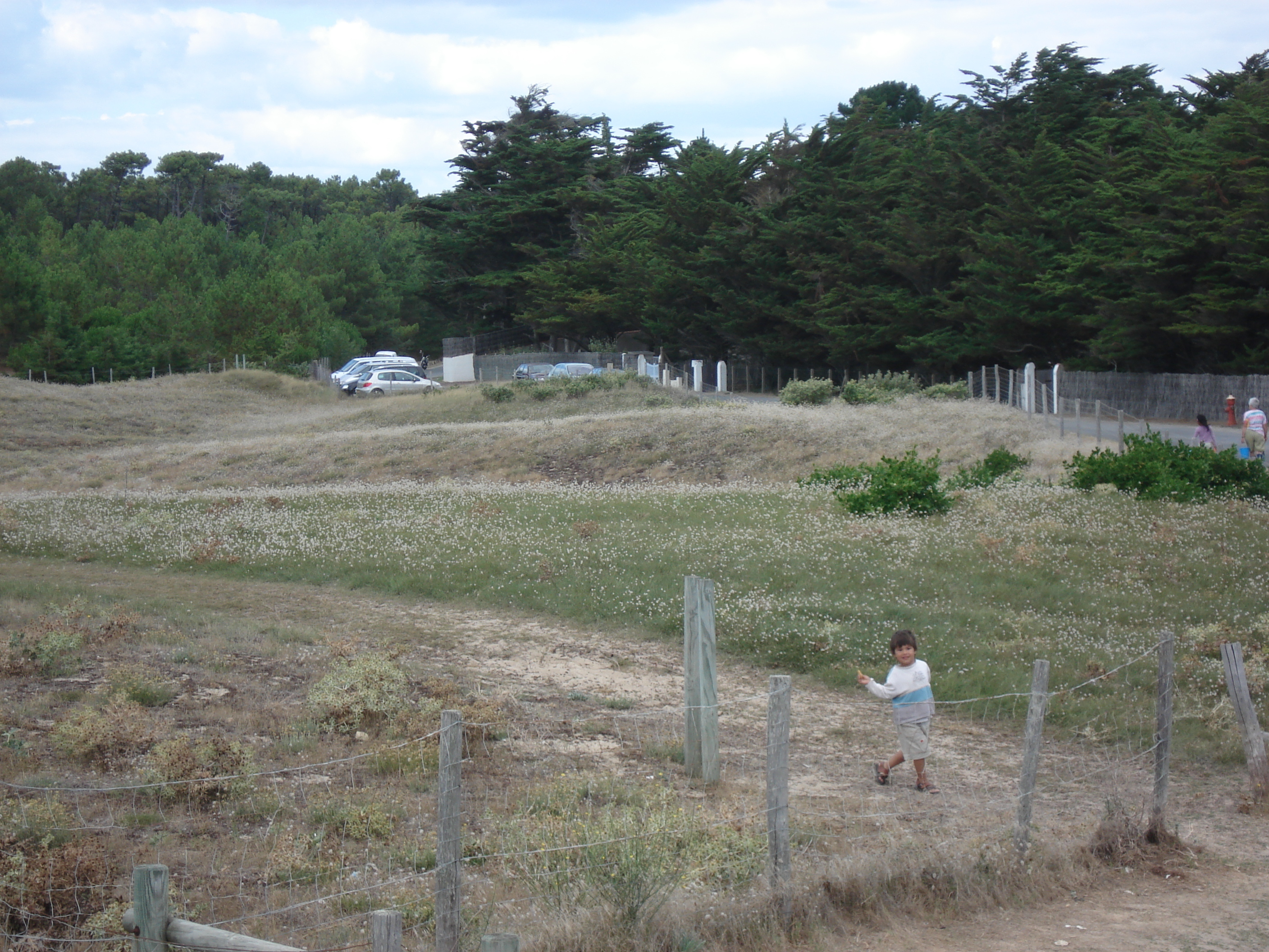 รูปถ่าย ฝรั่งเศส(France) นีวร์มูทีเย(Noirmoutier) 2006-08 103