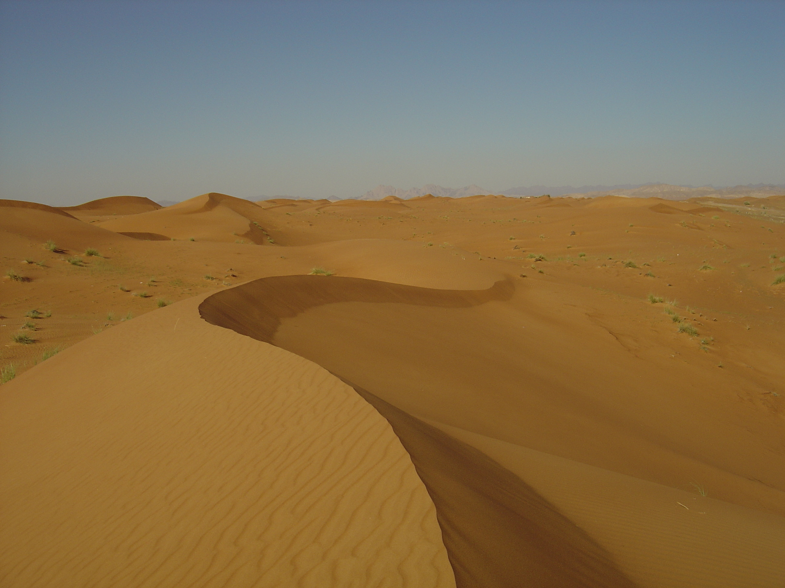 รูปถ่าย สหรัฐอาหรับเอมิเรตส์(United Arab Emirates) จากดูไบไปถนนอัลอิน(Dubai to Al Ain road) 2005-03 72