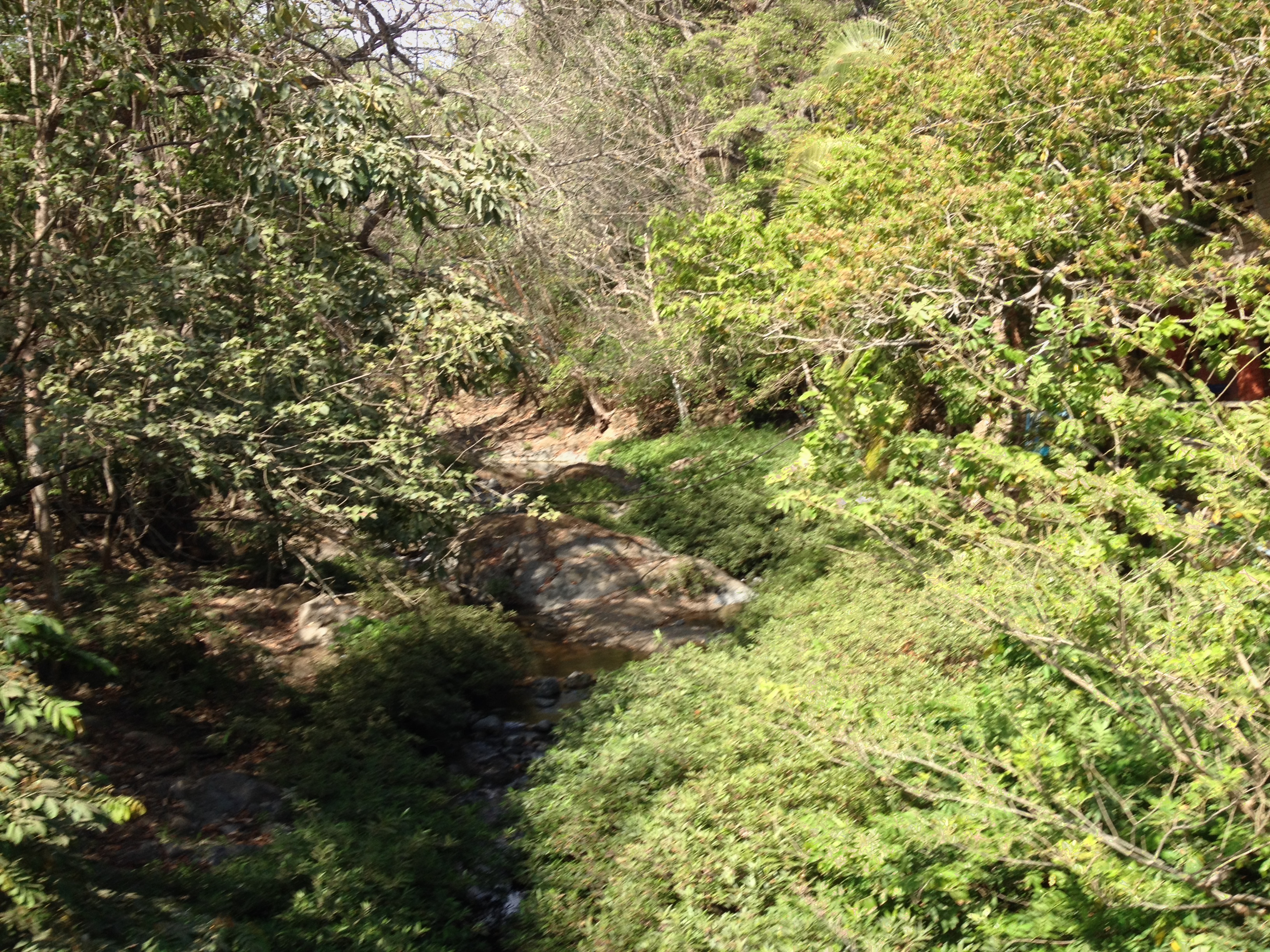 รูปถ่าย คอสตาริกา(Costa Rica) มอนเตซูมา(Montezuma) 2015-03 315