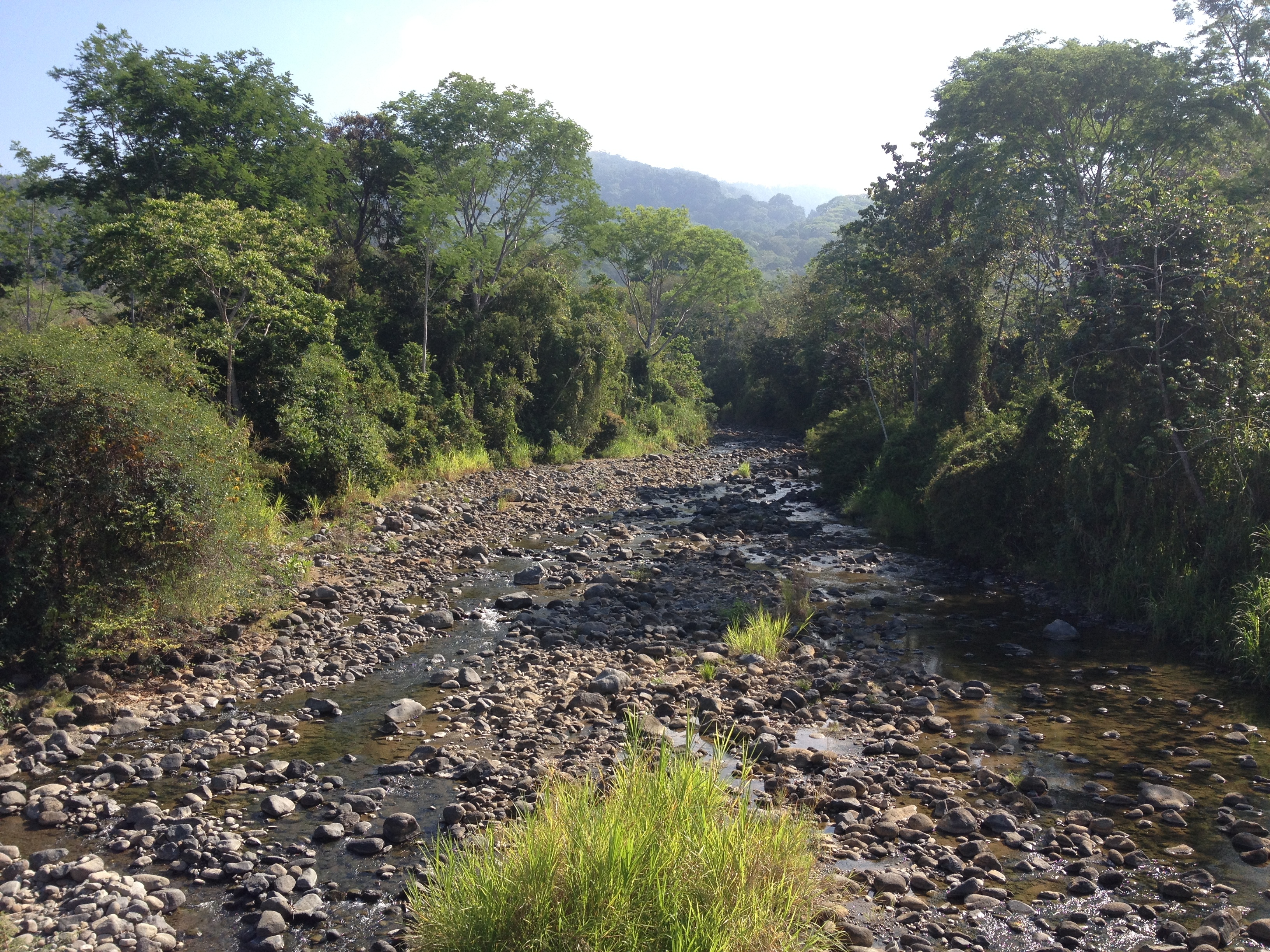 รูปถ่าย คอสตาริกา(Costa Rica) อูบีตา(Uvita) 2015-03 90