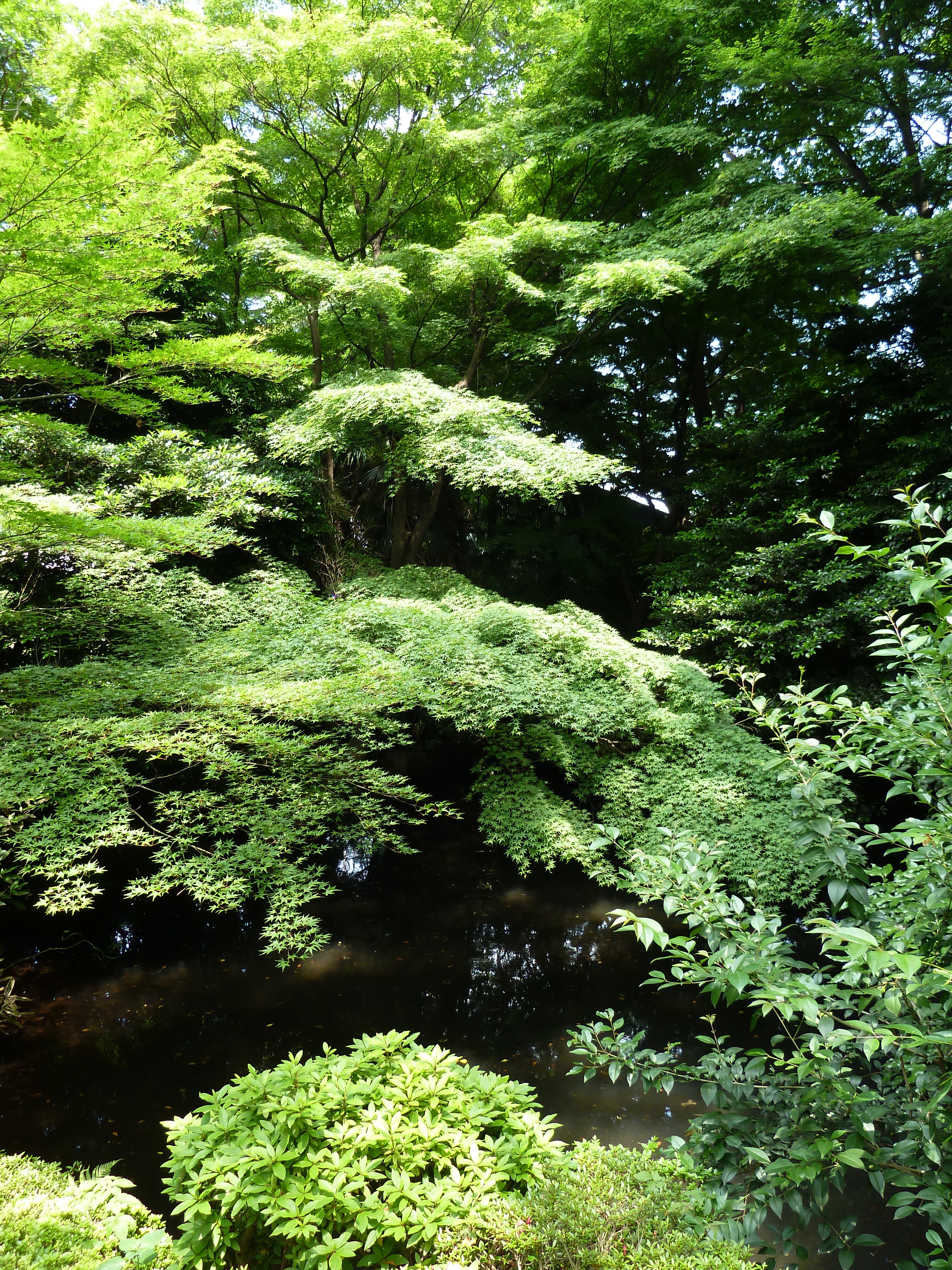 รูปถ่าย ญี่ปุ่น(Japan) โตเกียว(Tokyo) พิพิธภัณฑ์เนซุ(Nezu Museum) 2010-06 26