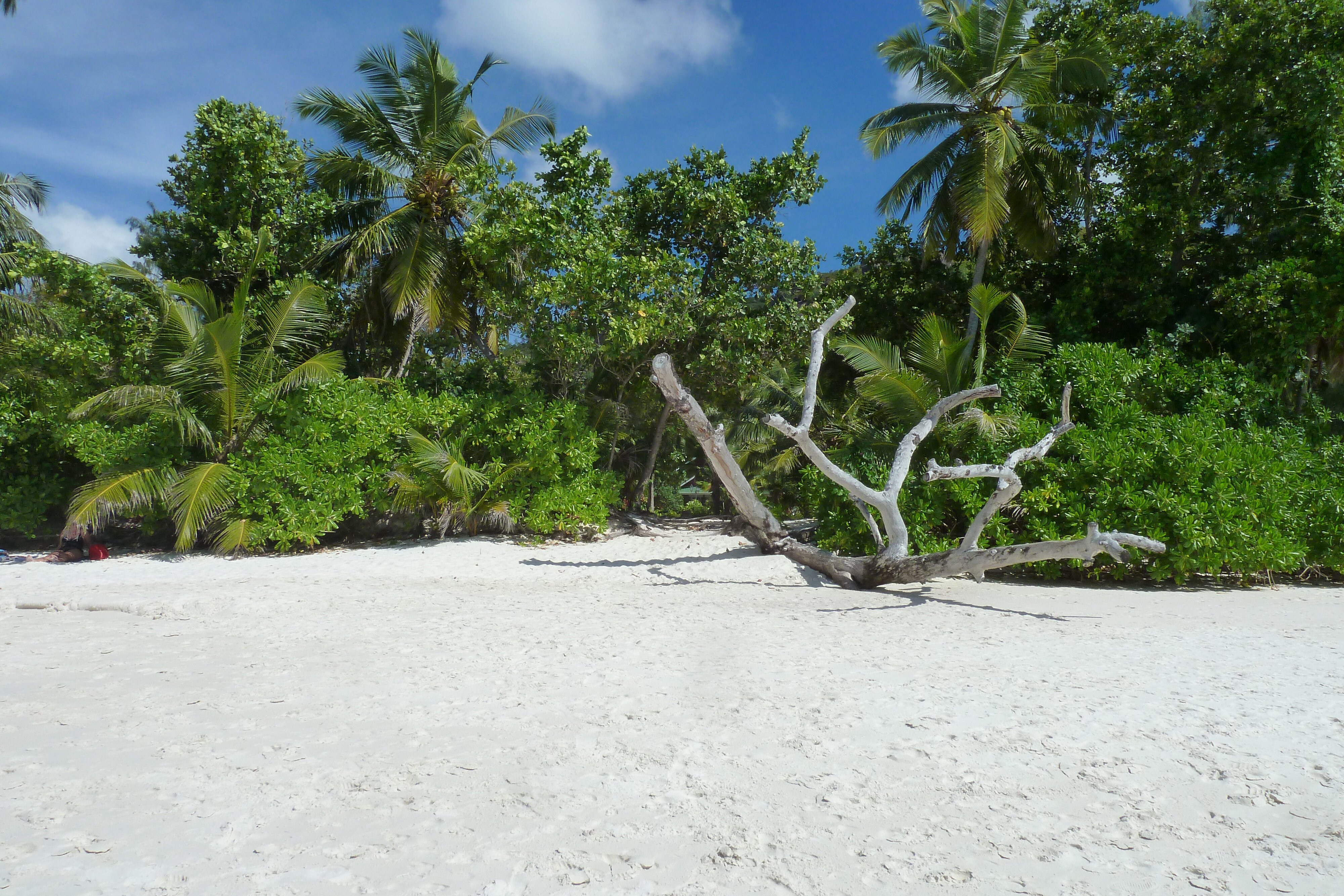 รูปถ่าย เซเชลส์(Seychelles) อ่าวอ็องส์ลาซิโอ(Anse Lazio) 2011-10 171