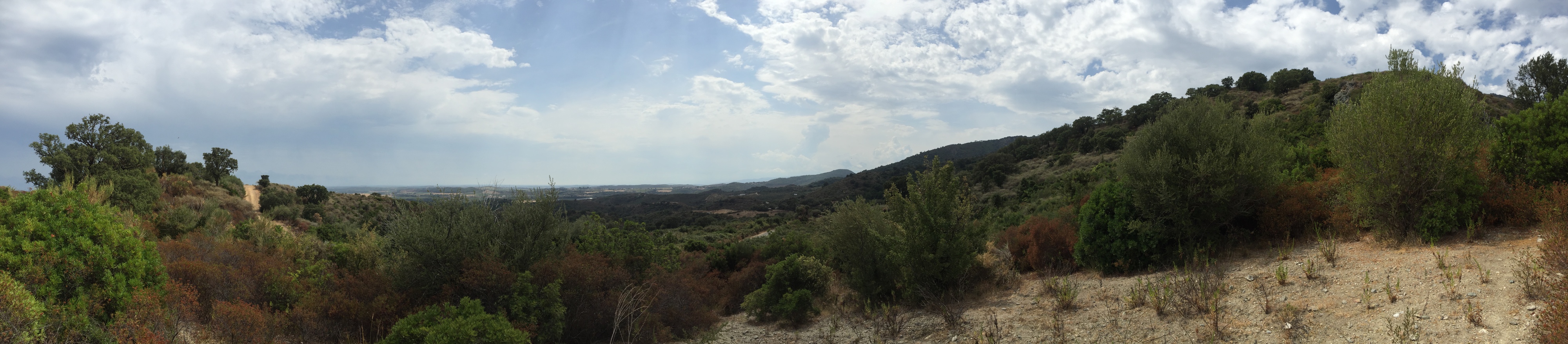 รูปถ่าย ฝรั่งเศส(France) คอร์สิคา(Corsica) ตอกซ์(Tox) 2017-09 4