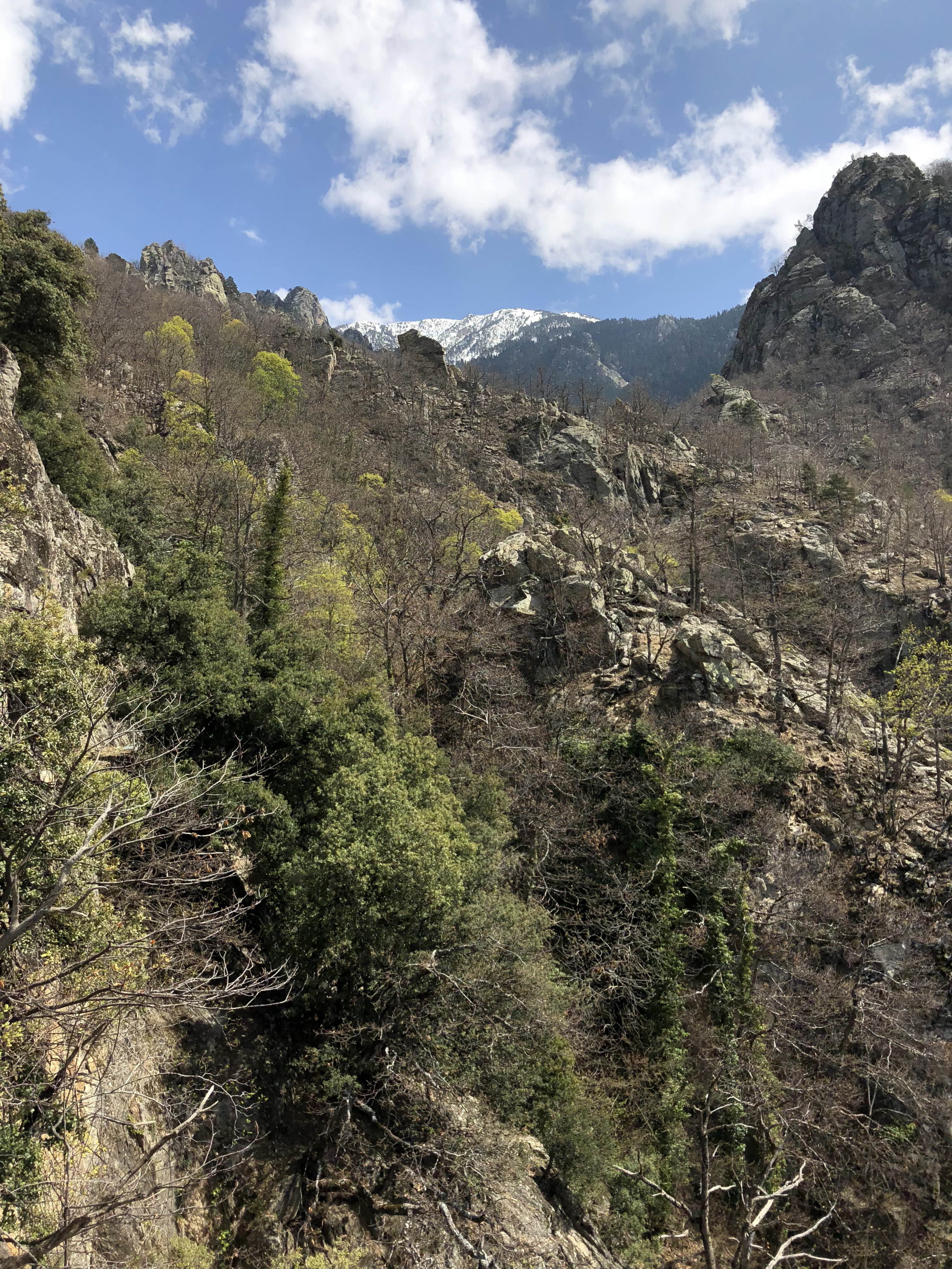 รูปถ่าย ฝรั่งเศส(France) แอบบีแซ็งมาร์แต็งดูกานีกู(Abbaye Saint Martin du Canigou) 2018-04 116