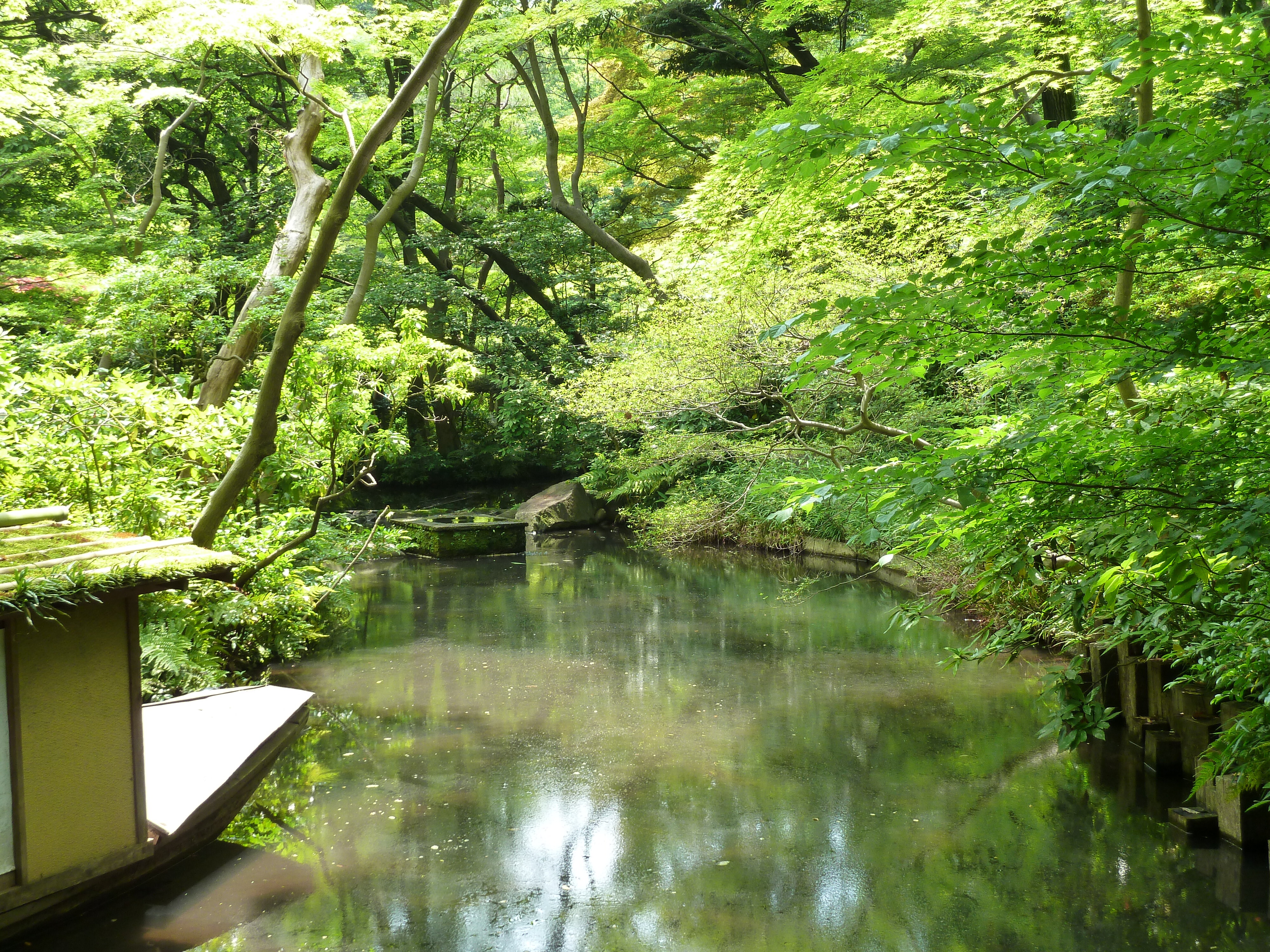 รูปถ่าย ญี่ปุ่น(Japan) โตเกียว(Tokyo) พิพิธภัณฑ์เนซุ(Nezu Museum) 2010-06 85