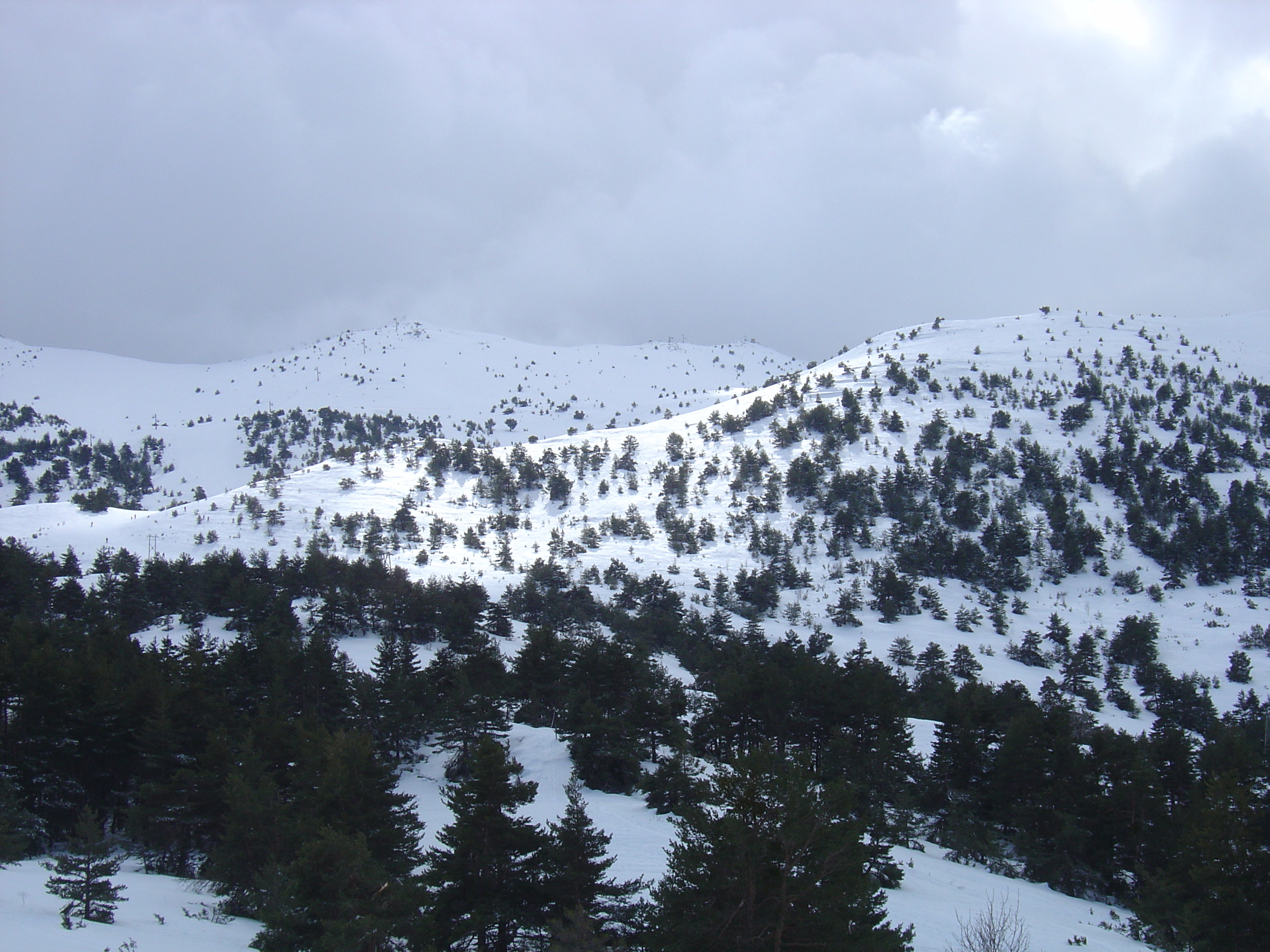 รูปถ่าย ฝรั่งเศส(France) เกรโอลีแยร์(Greolieres) 2006-02 33