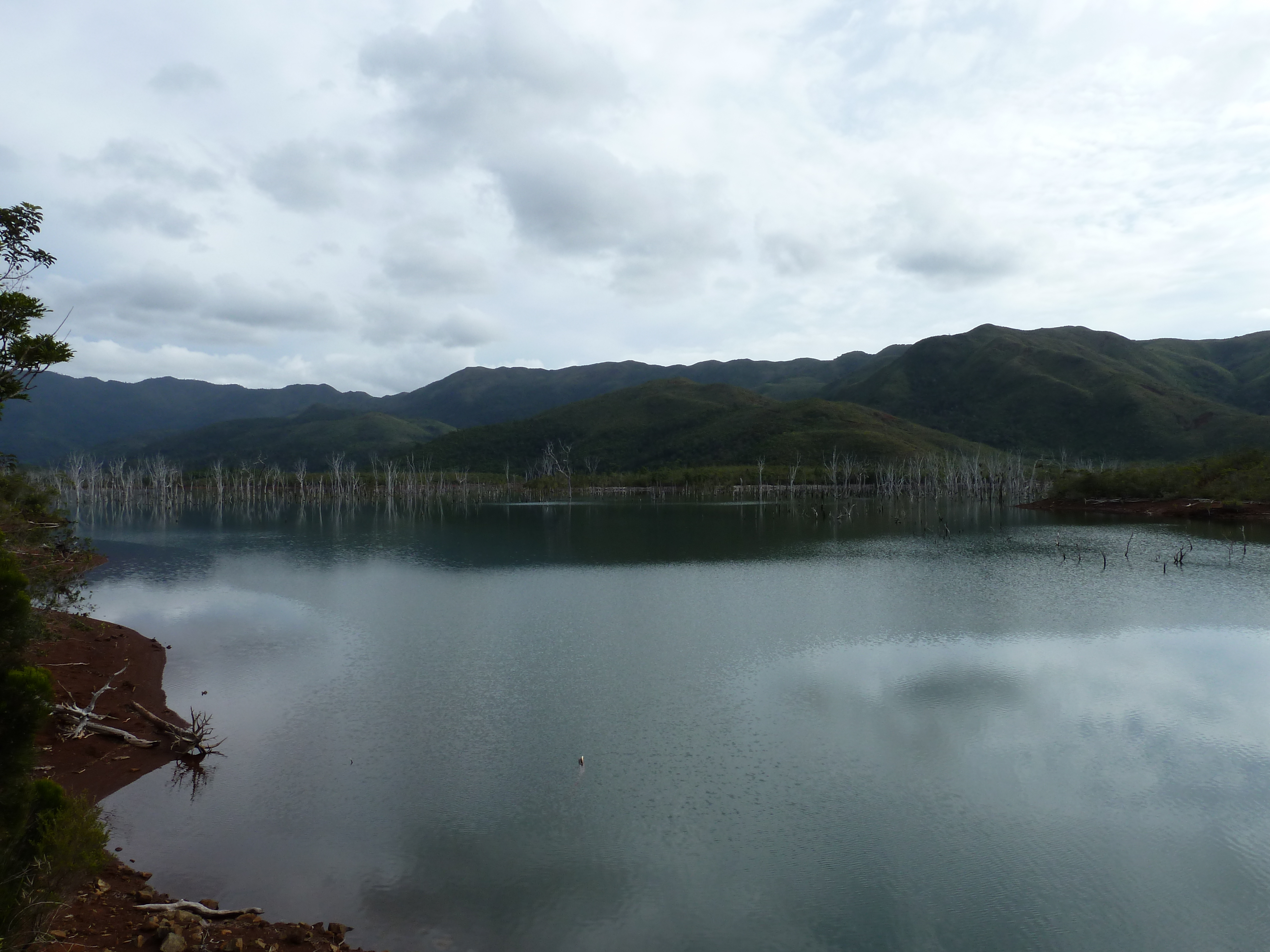 รูปถ่าย นิวแคลิโดเนีย(New Caledonia) อุทยานริเวียร์เบลอ(Parc de la Riviere Bleue) 2010-05 55