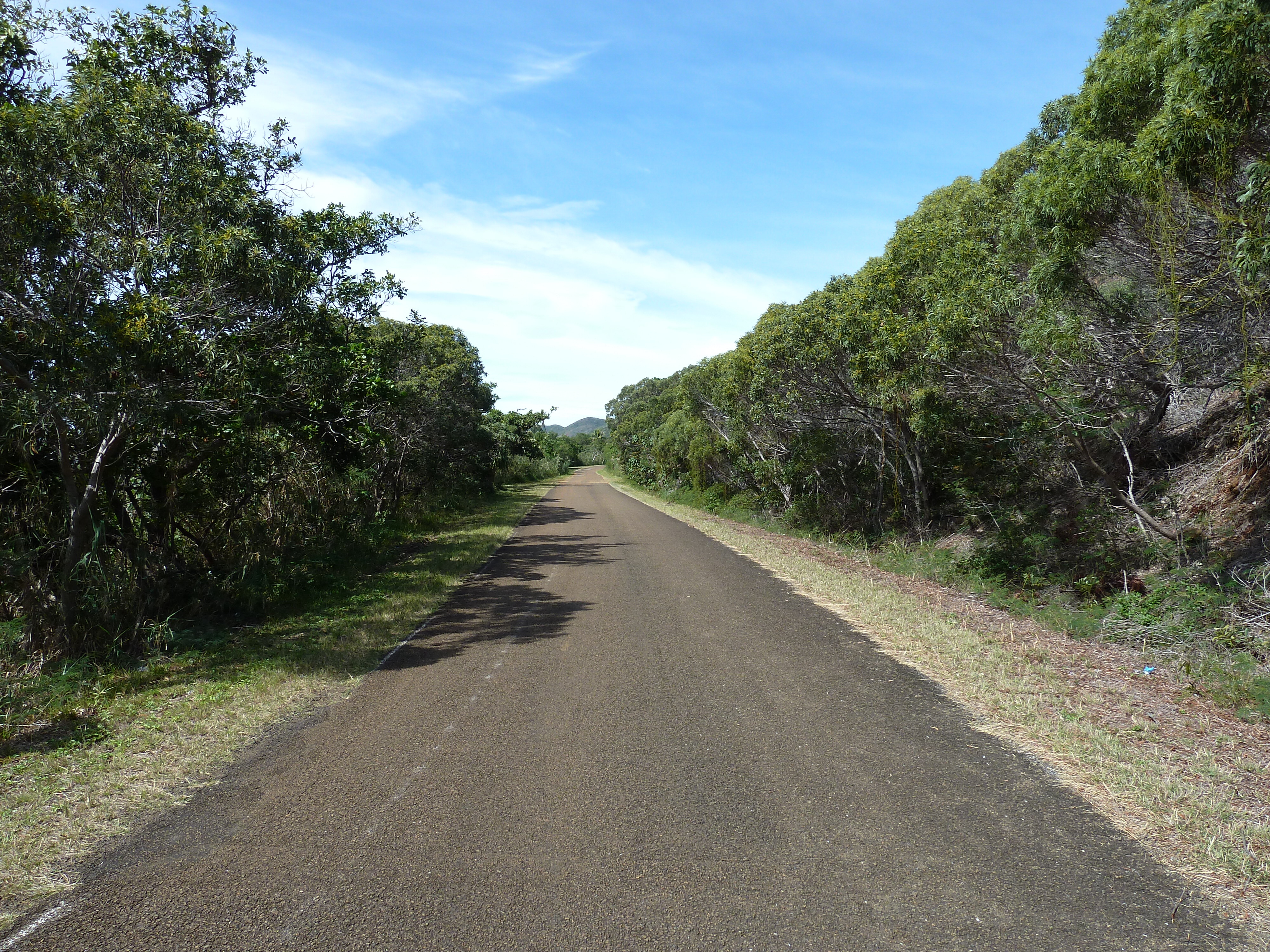 รูปถ่าย นิวแคลิโดเนีย(New Caledonia) ทีโอ(Thio) 2010-05 13