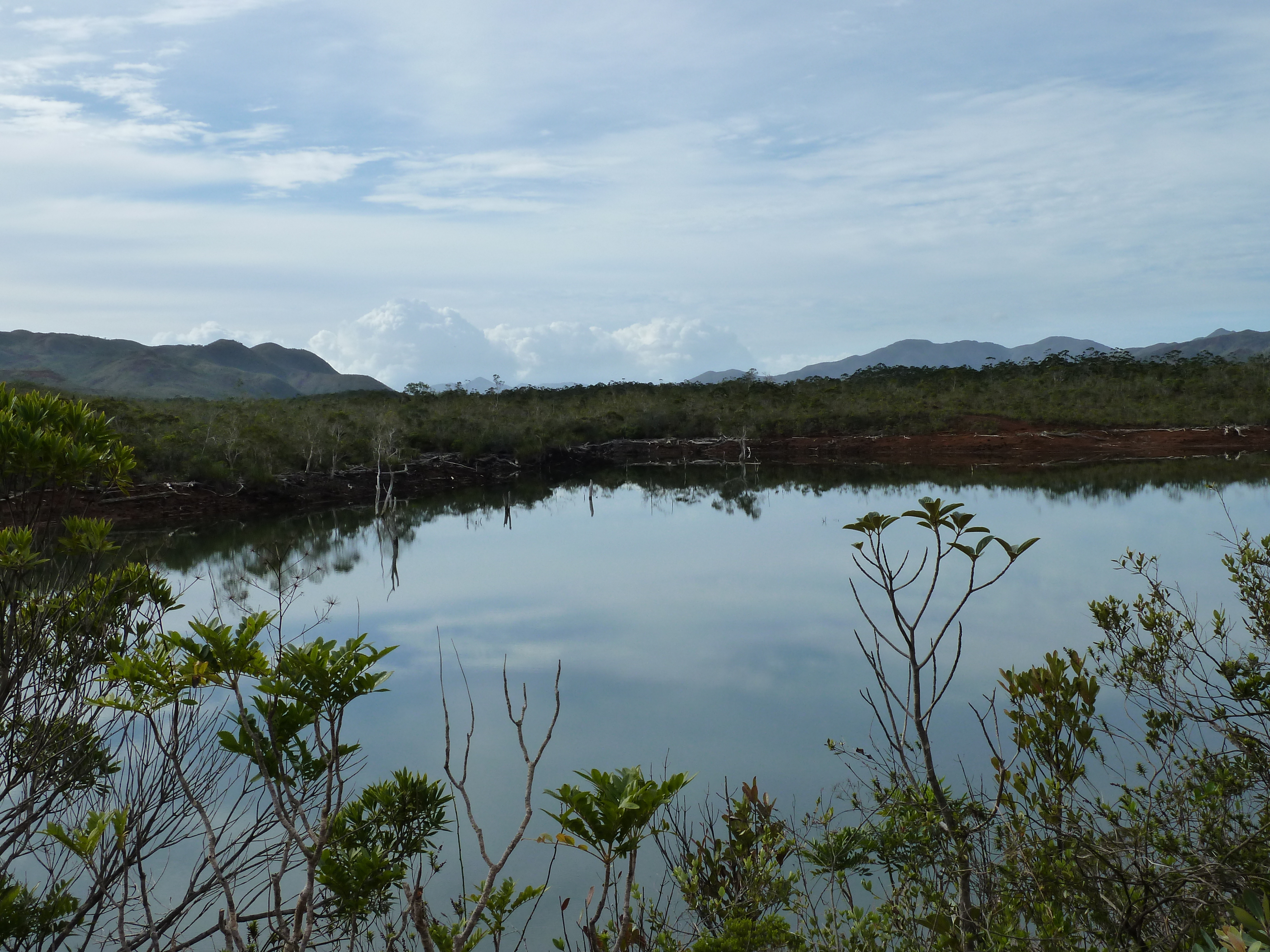 รูปถ่าย นิวแคลิโดเนีย(New Caledonia) อุทยานริเวียร์เบลอ(Parc de la Riviere Bleue) 2010-05 60