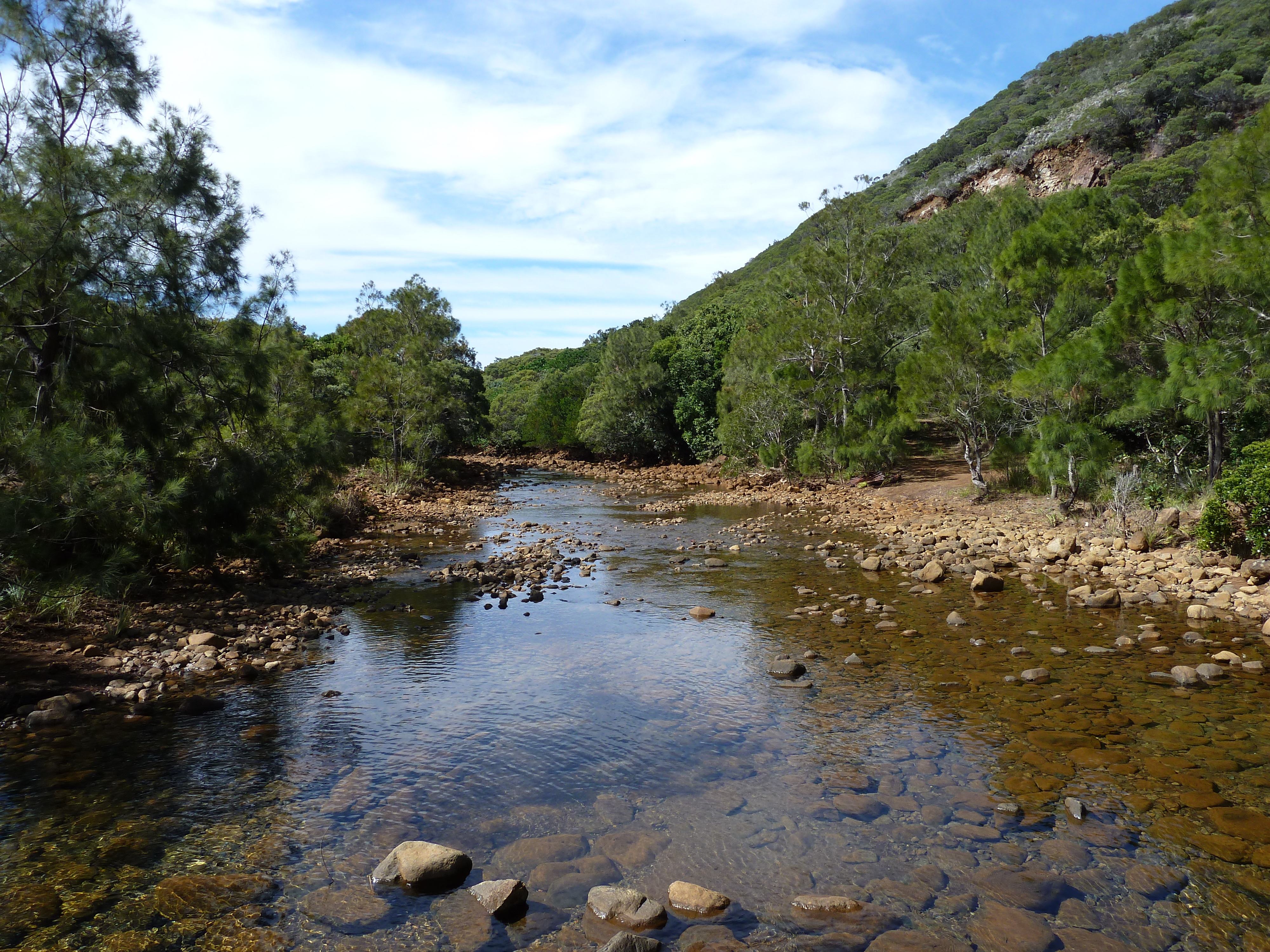 รูปถ่าย นิวแคลิโดเนีย(New Caledonia) ทีโอ(Thio) 2010-05 6