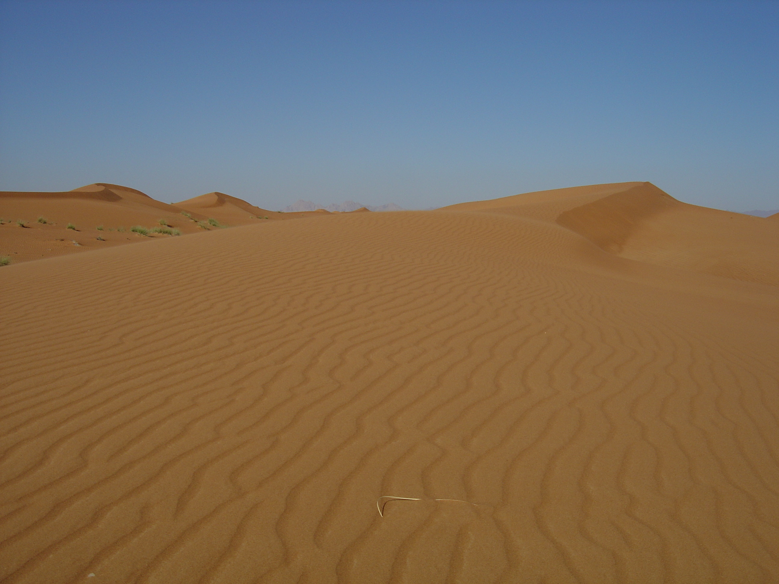 รูปถ่าย สหรัฐอาหรับเอมิเรตส์(United Arab Emirates) จากดูไบไปถนนอัลอิน(Dubai to Al Ain road) 2005-03 74