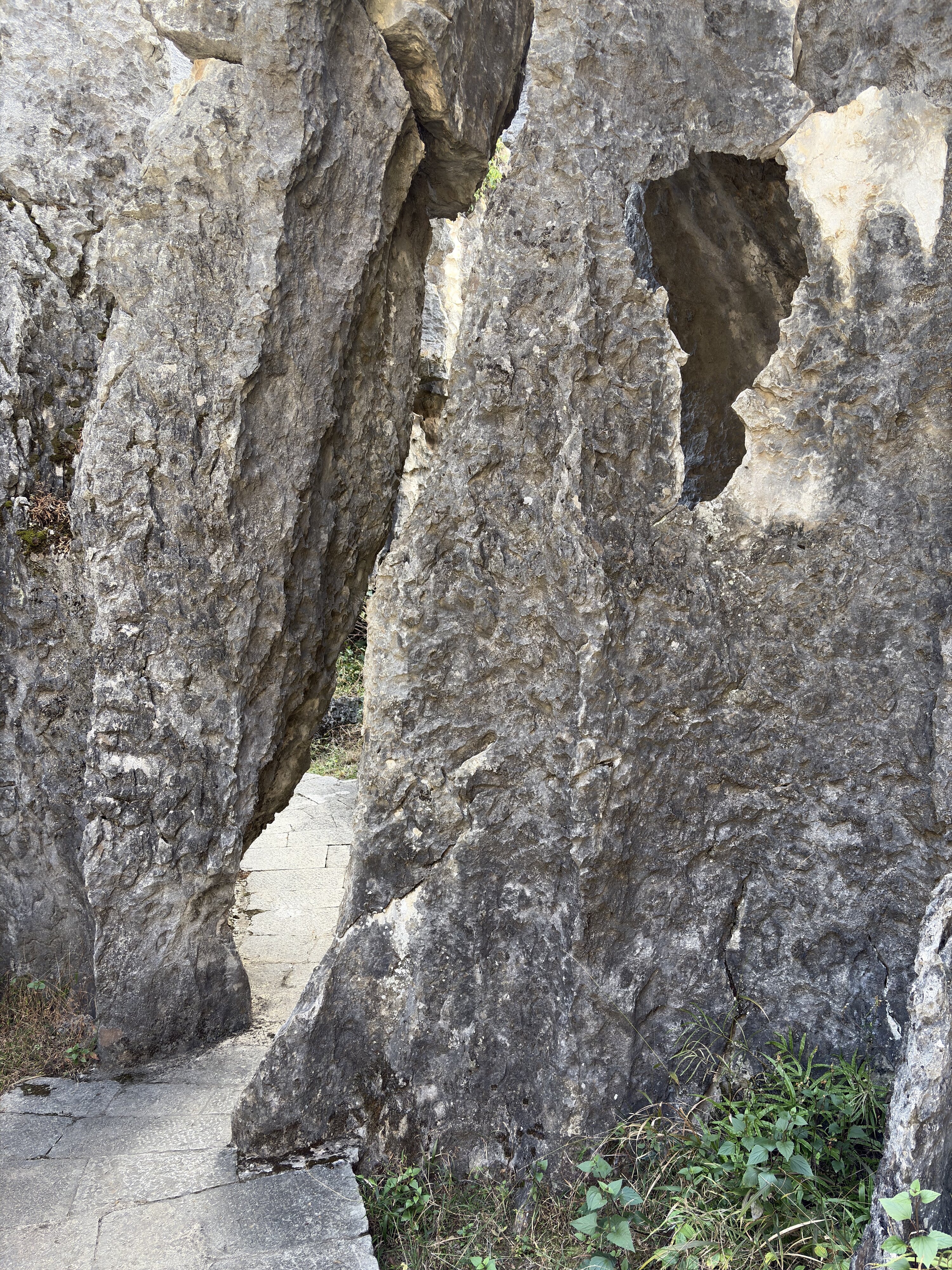 รูปถ่าย จีน(China) ป่าหินสือหลิน(Shilin Stone Forest) 2026-01 86