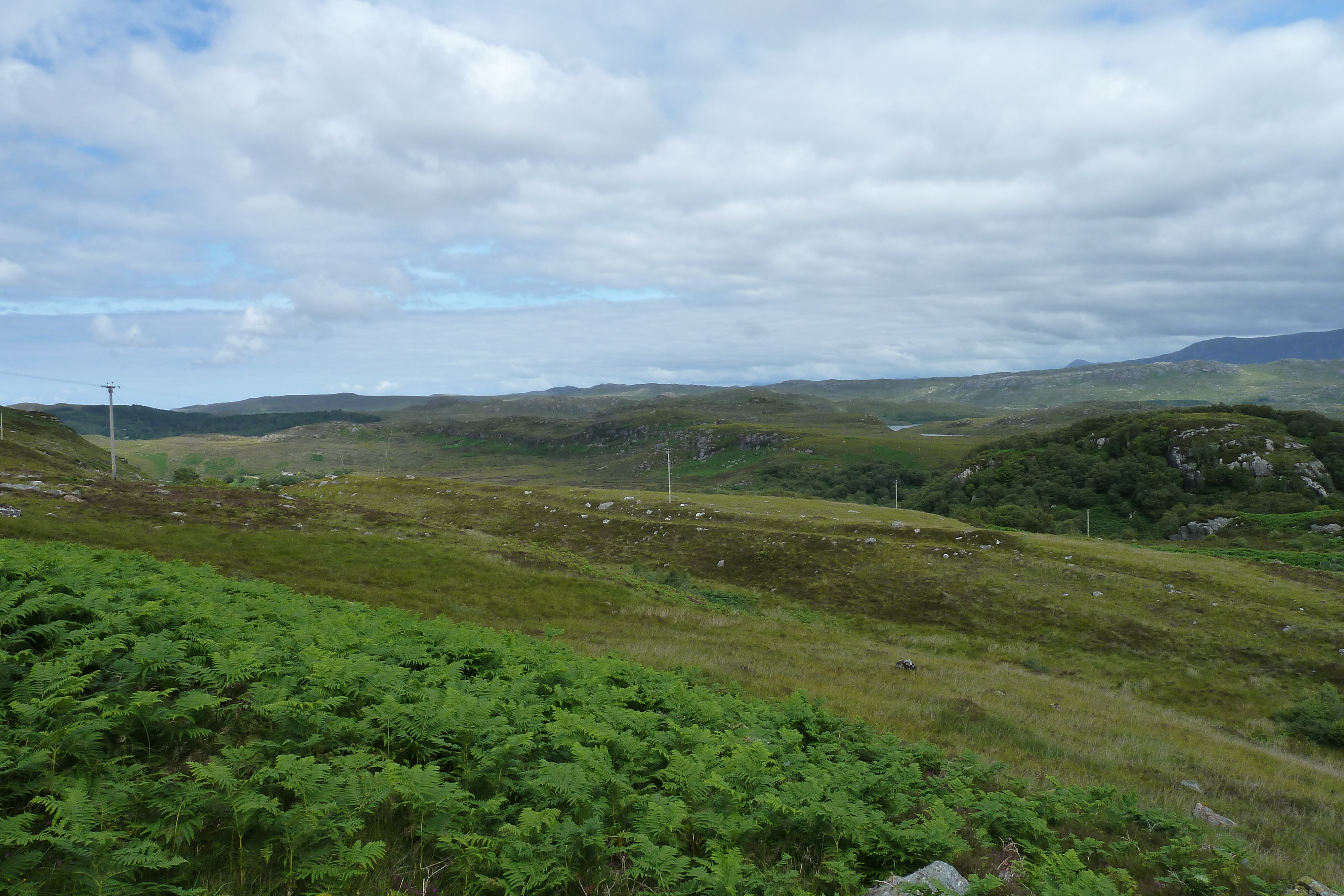 รูปถ่าย อังกฤษ(United Kingdom) สกอตแลนด์(Scotland) แกร์ลอค(Gairloch) 2011-07 96