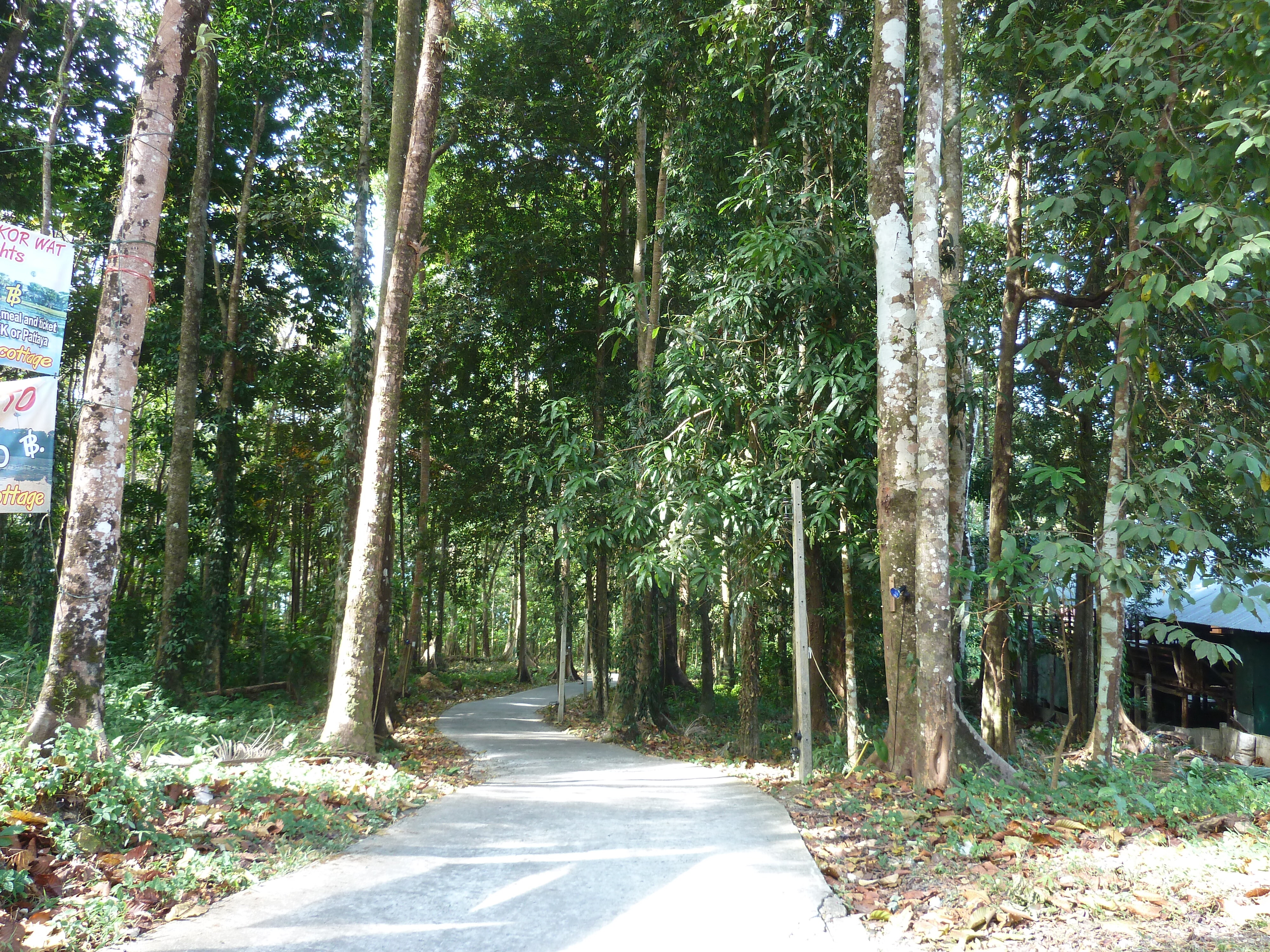 รูปถ่าย ไทย(Thailand) เกาะช้าง(Ko Chang) 2011-12 68