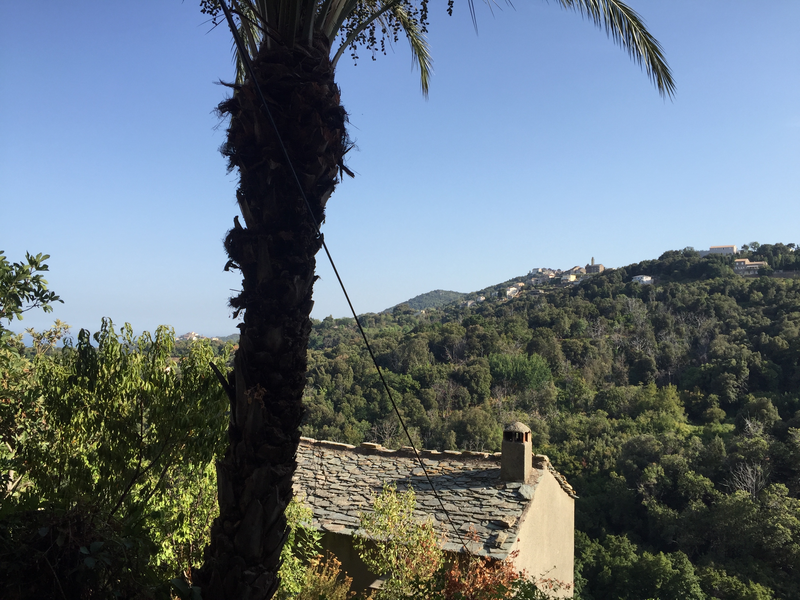 รูปถ่าย ฝรั่งเศส(France) คอร์สิคา(Corsica) เวนโซลัสกา(Venzolasca) 2017-09 56