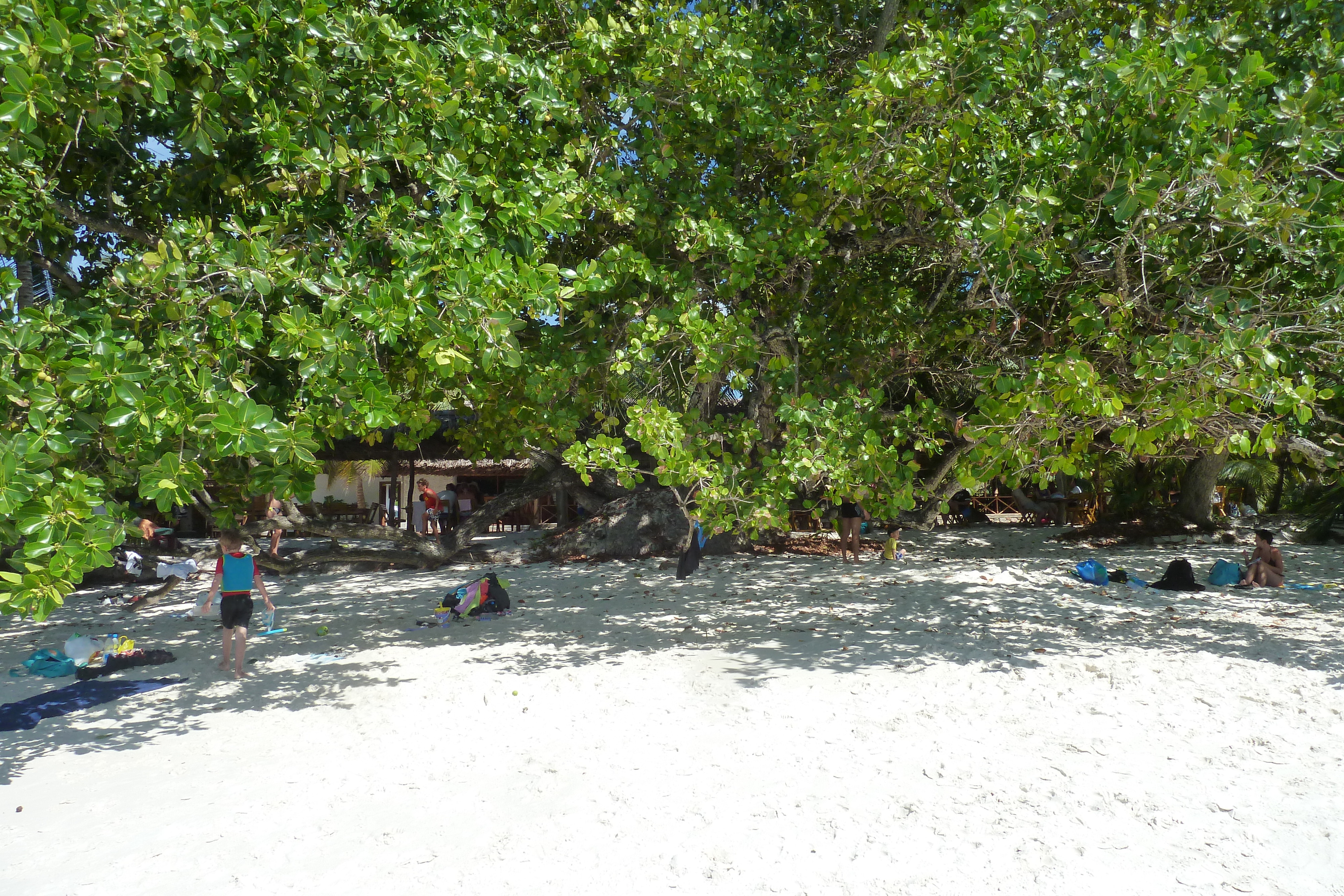 รูปถ่าย เซเชลส์(Seychelles) อ่าวอ็องส์ลาซิโอ(Anse Lazio) 2011-10 136