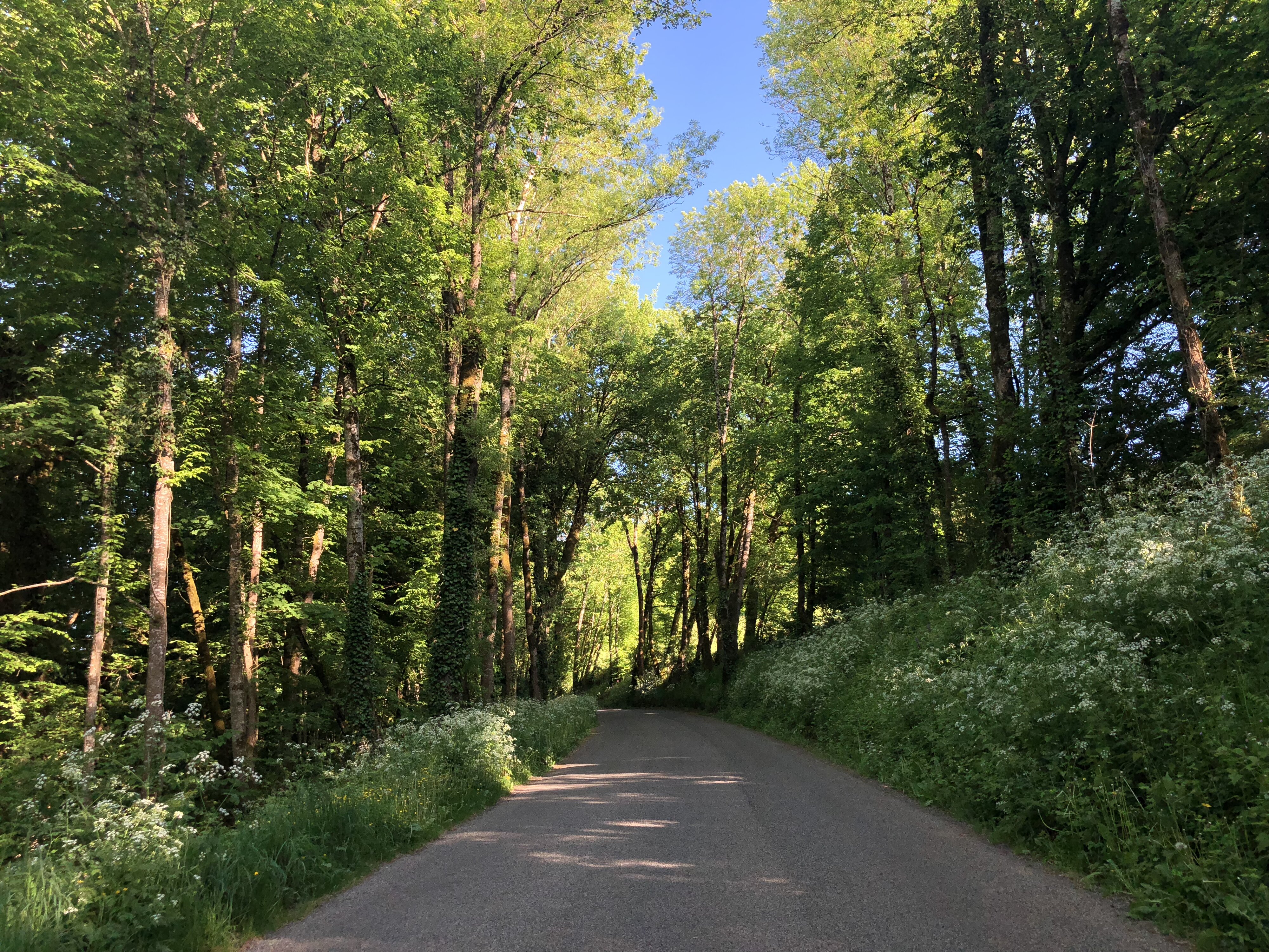 รูปถ่าย ฝรั่งเศส(France) ฟลัวรัก(Floirac) 2018-04 16