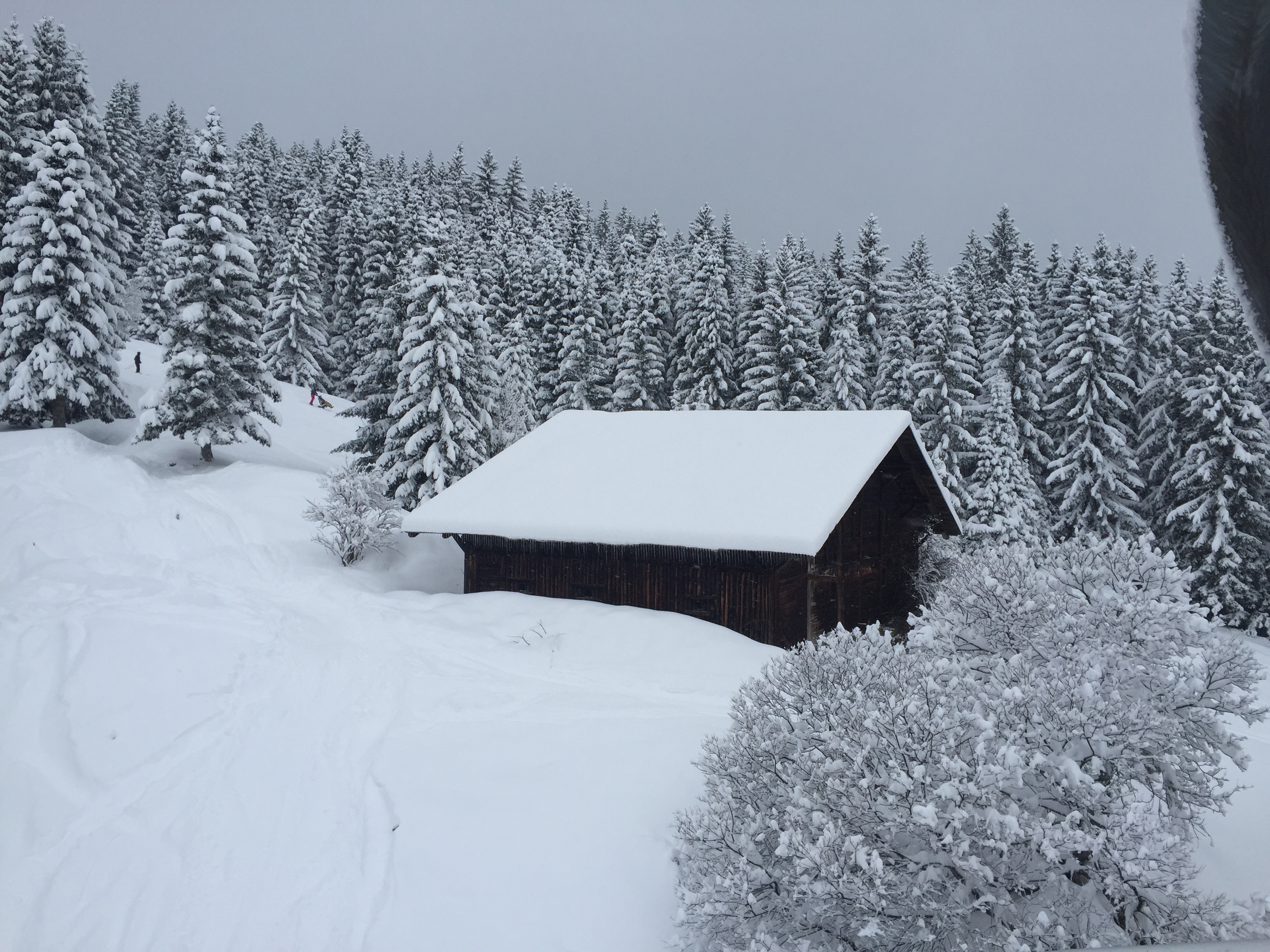 รูปถ่าย ฝรั่งเศส(France) เมแฌฟว์(Megeve) 2016-02 123
