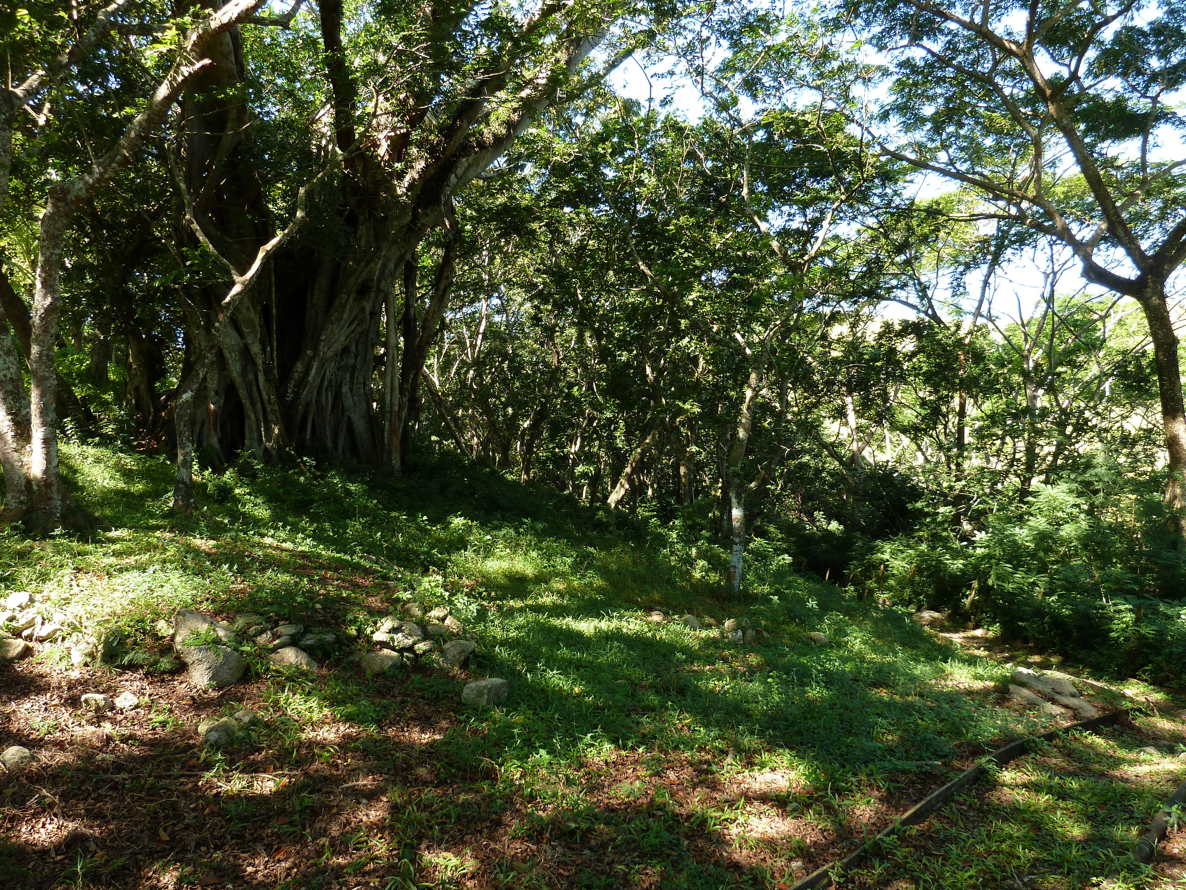 รูปถ่าย ฟิจิ(Fiji) ป้อมเนินเขาตาวูนี(Tavuni Hill Fort) 2010-05 4