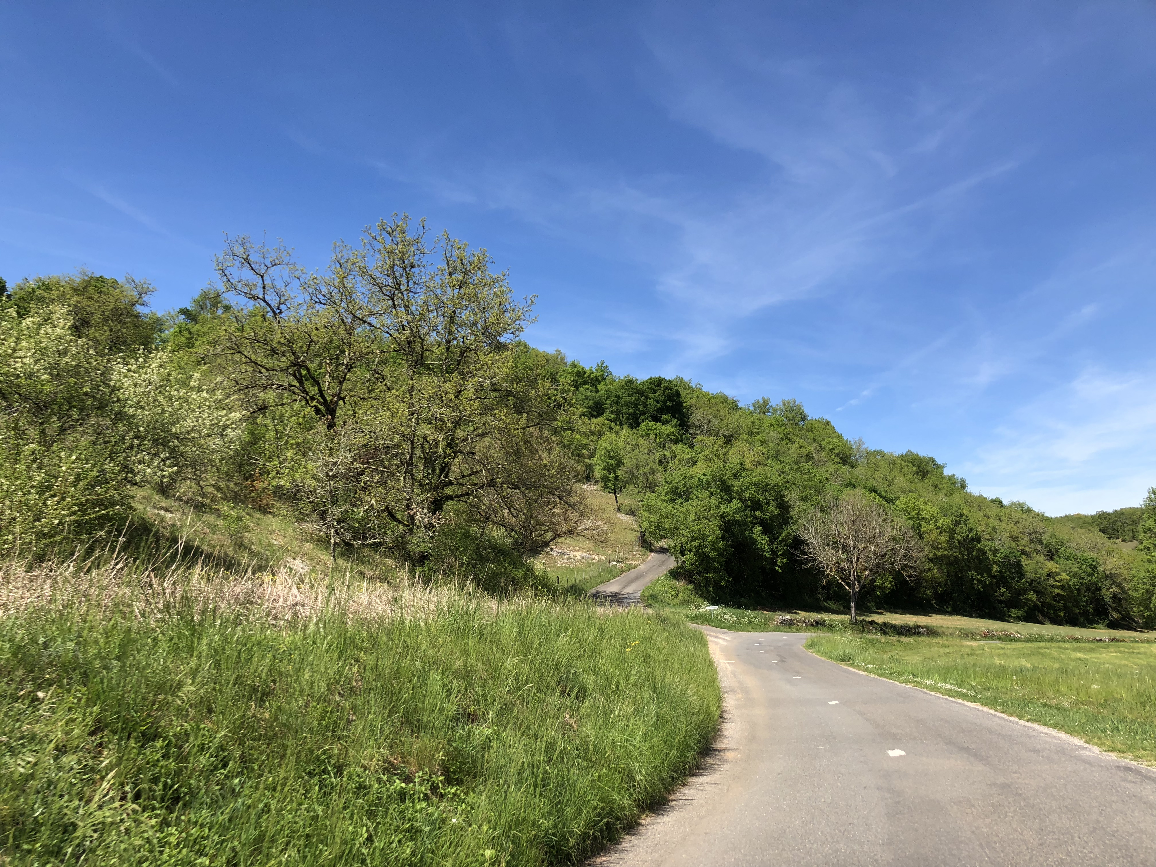 รูปถ่าย ฝรั่งเศส(France) ฟลัวรัก(Floirac) 2018-04 137