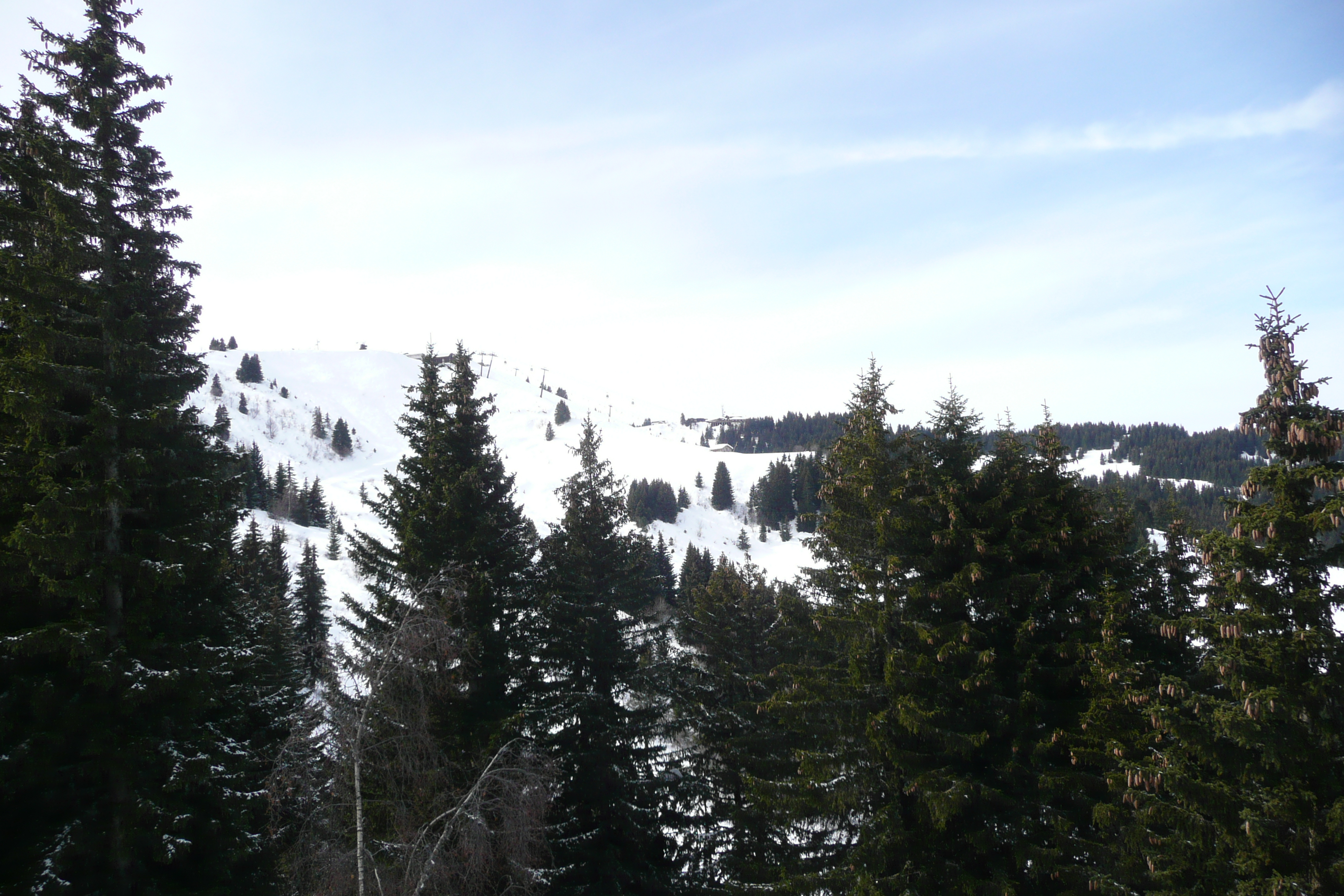 รูปถ่าย ฝรั่งเศส(France) เมแฌฟว์(Megeve) มงดาร์บัว(Mont d'Arbois) 2010-02 165