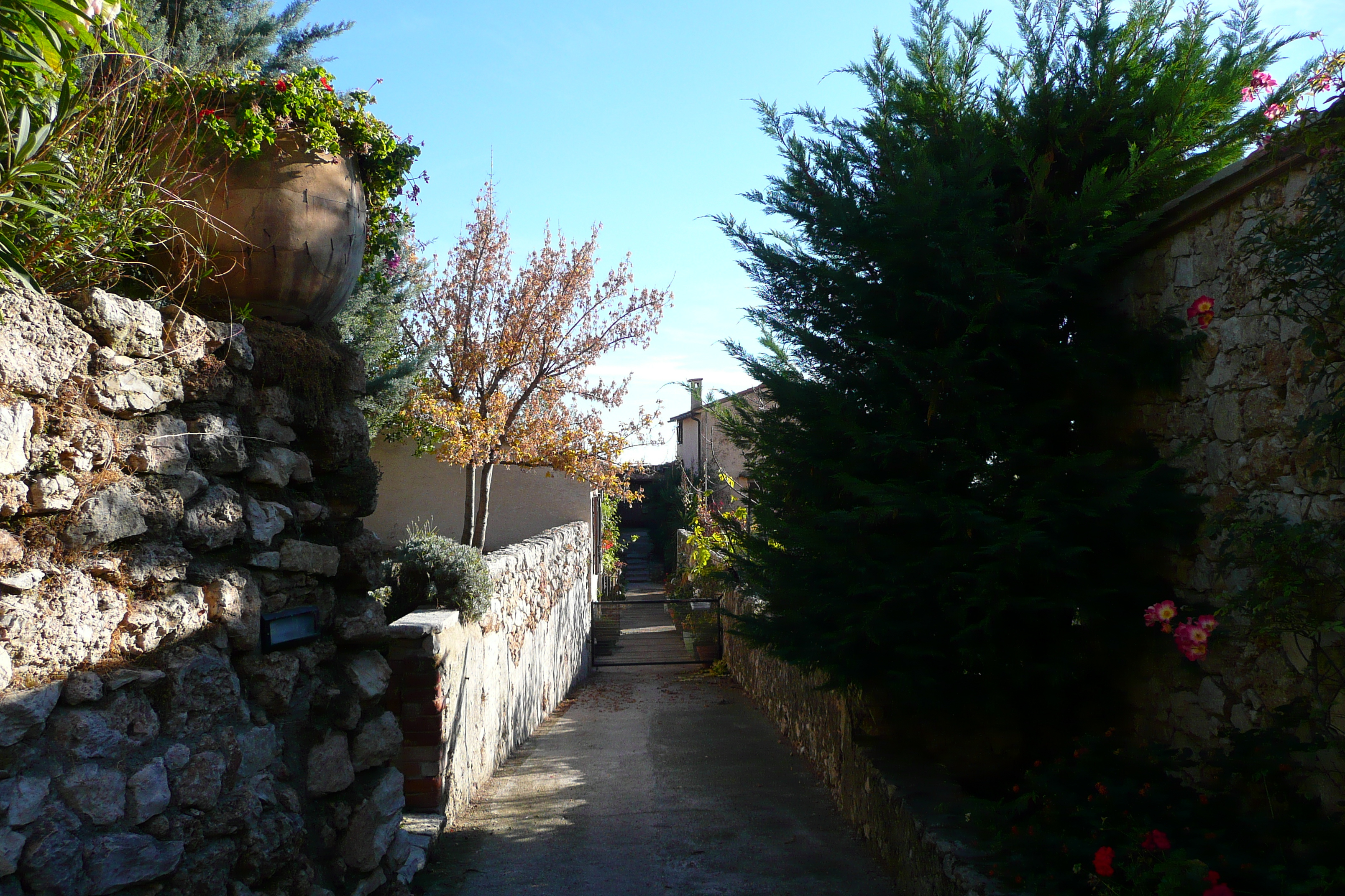 รูปถ่าย ฝรั่งเศส(France) แซ็ง-ฌาเน(Saint Jeannet) 2007-11 63