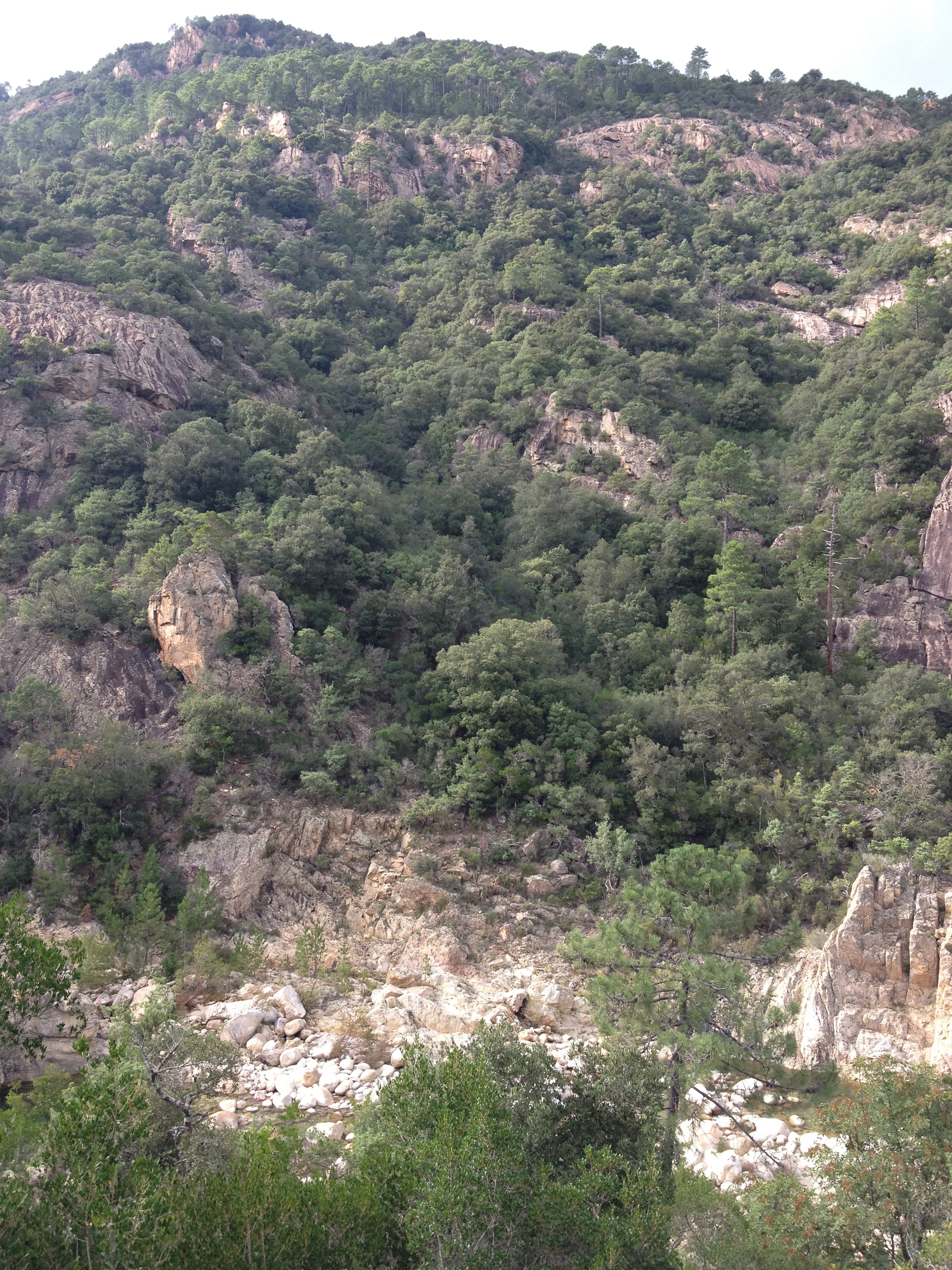 รูปถ่าย ฝรั่งเศส(France) คอร์สิคา(Corsica) โซเลนซารา(Solenzara) 2012-09 20